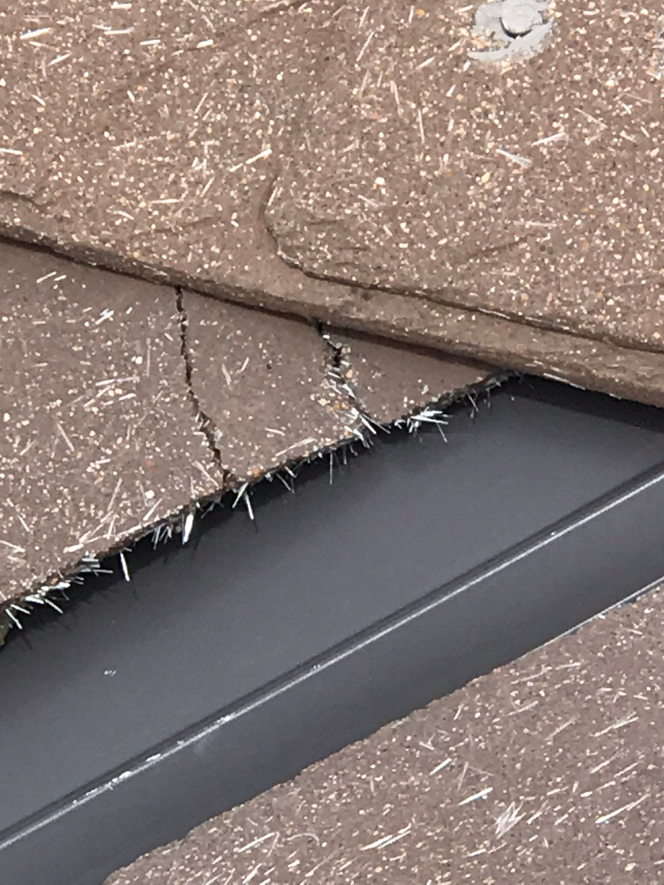Concrete Tile Roof by Rainy Day Restoration
