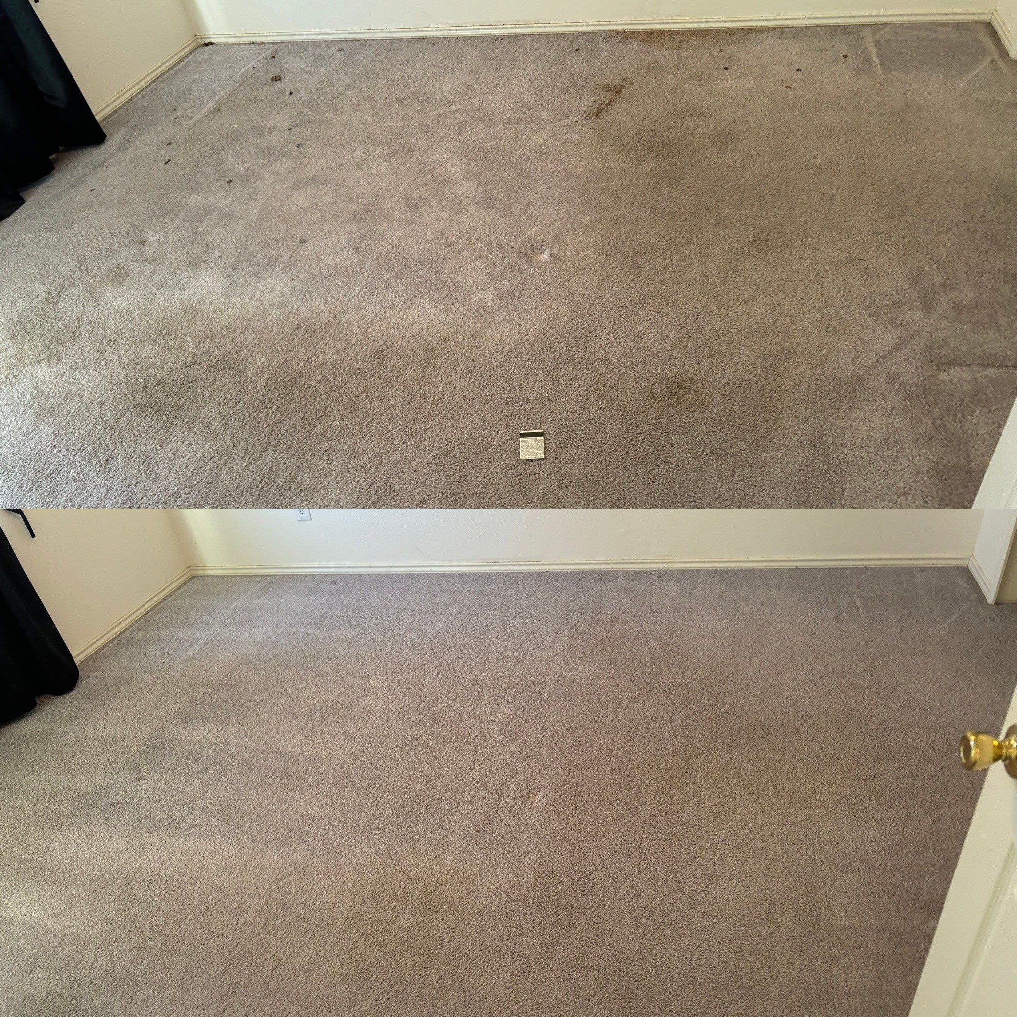 the photo shows carpet cleaning being performed with visible dirt and stains lifted from the surface leaving it clean and refreshed