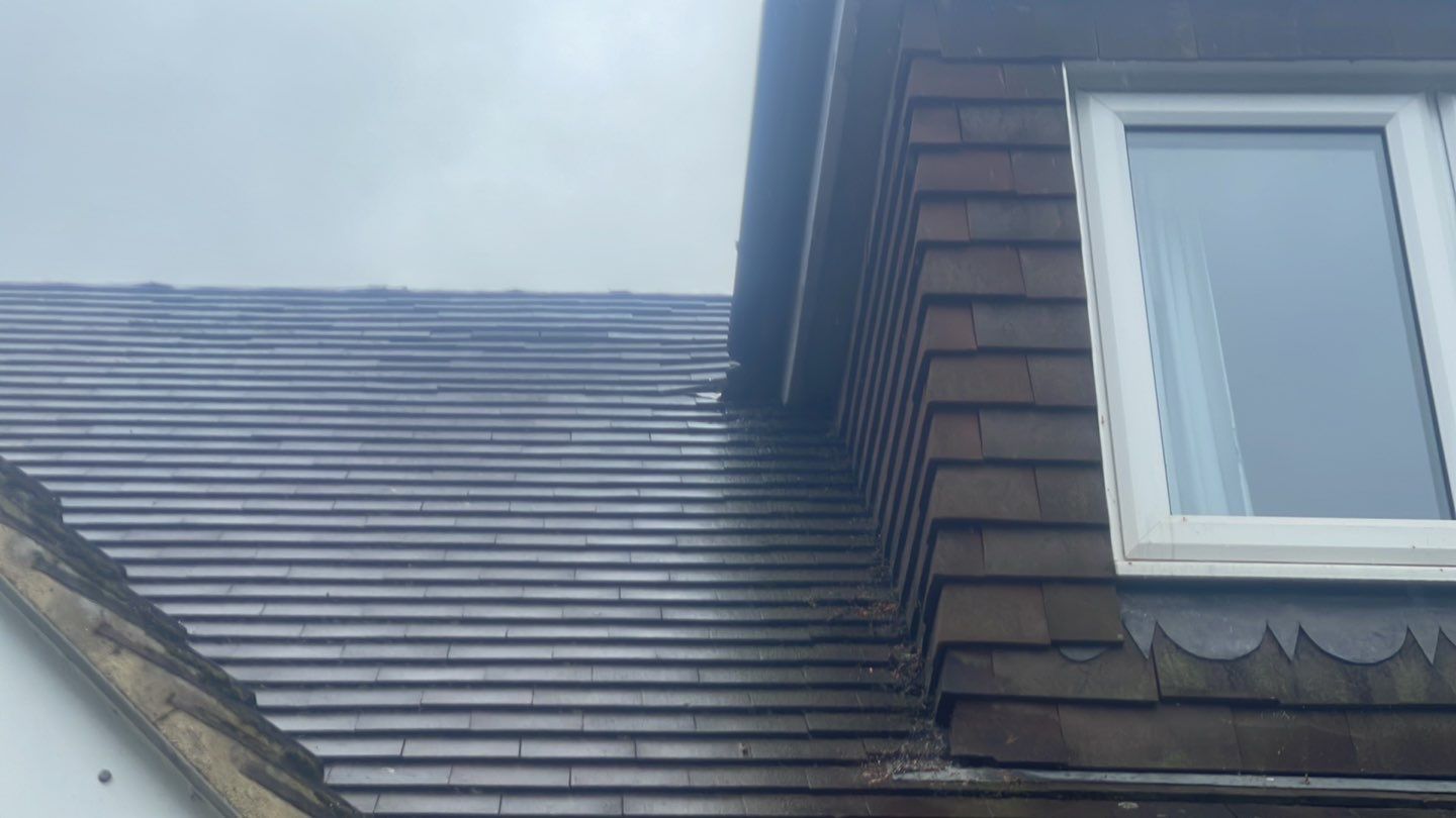 Roof Clean - Biocide Treatment using Honda 15lpm Low Pressure Washing Machine by Ges Exterior Cleaning ltd