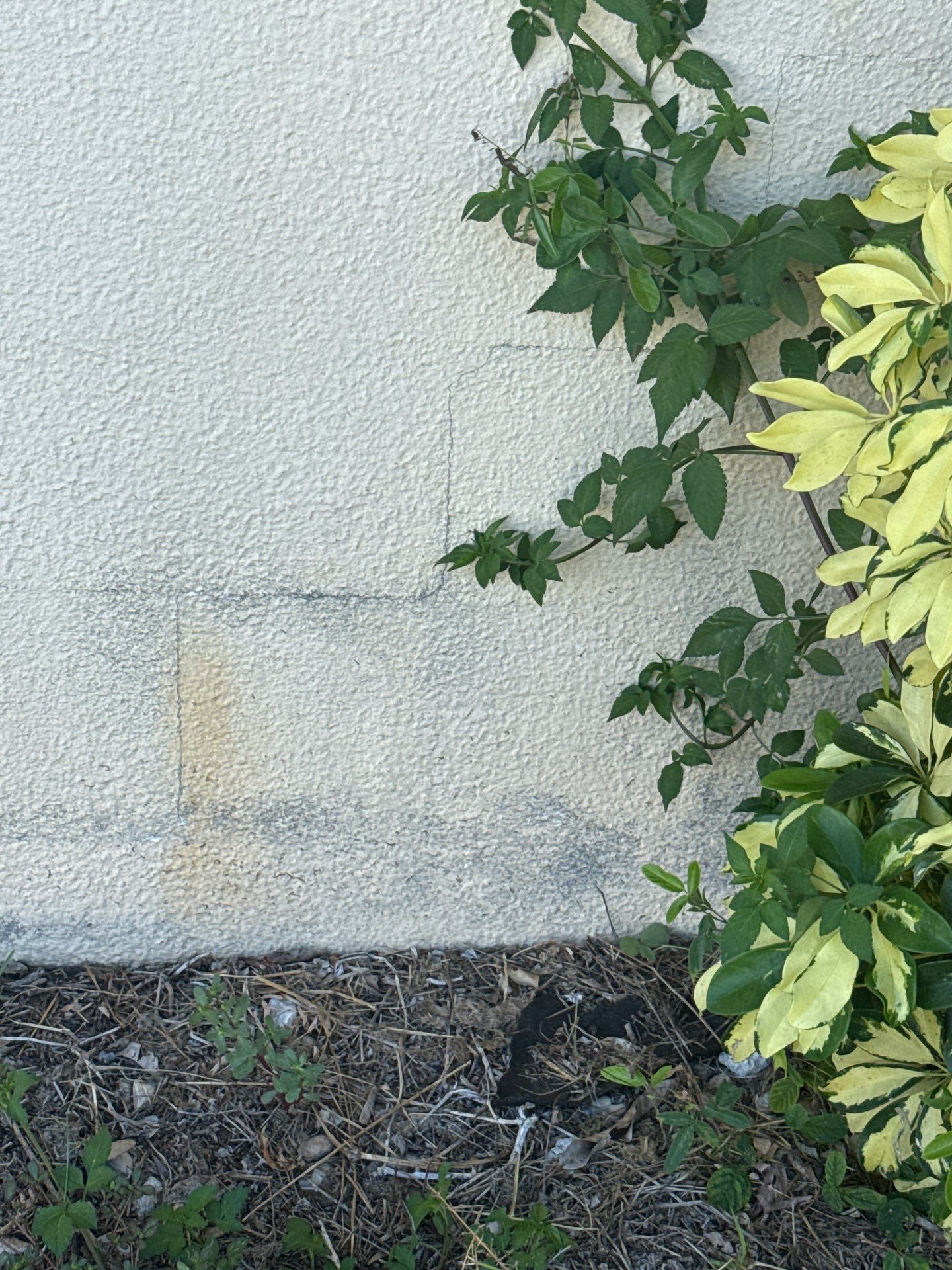 Project in Venice by Sunbelt Home Solutions