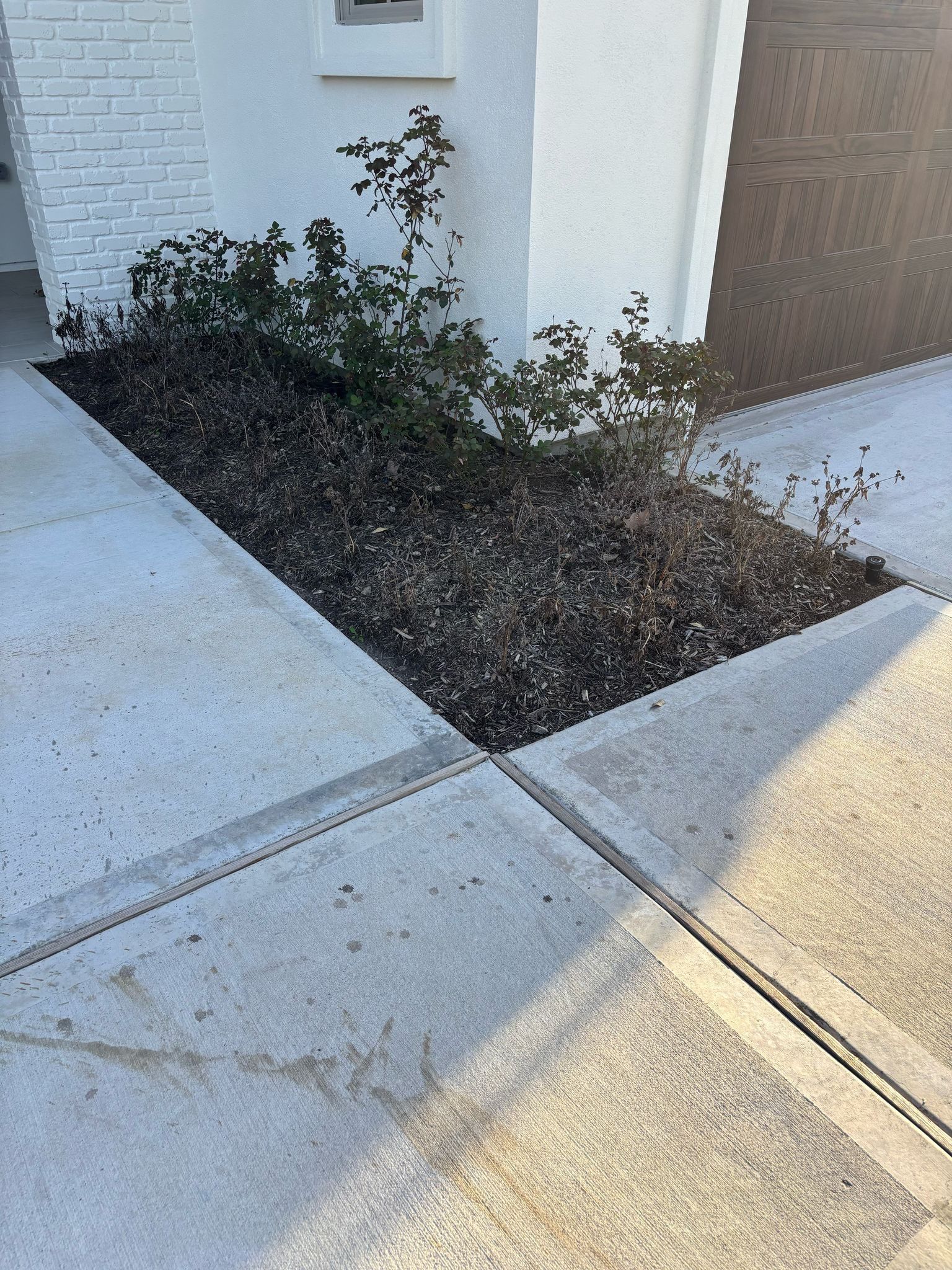 Open House Ready! Daniel Walldrop's Front Yard Flower Bed Makeover! 🏡🌿 by Texas Urban Elements