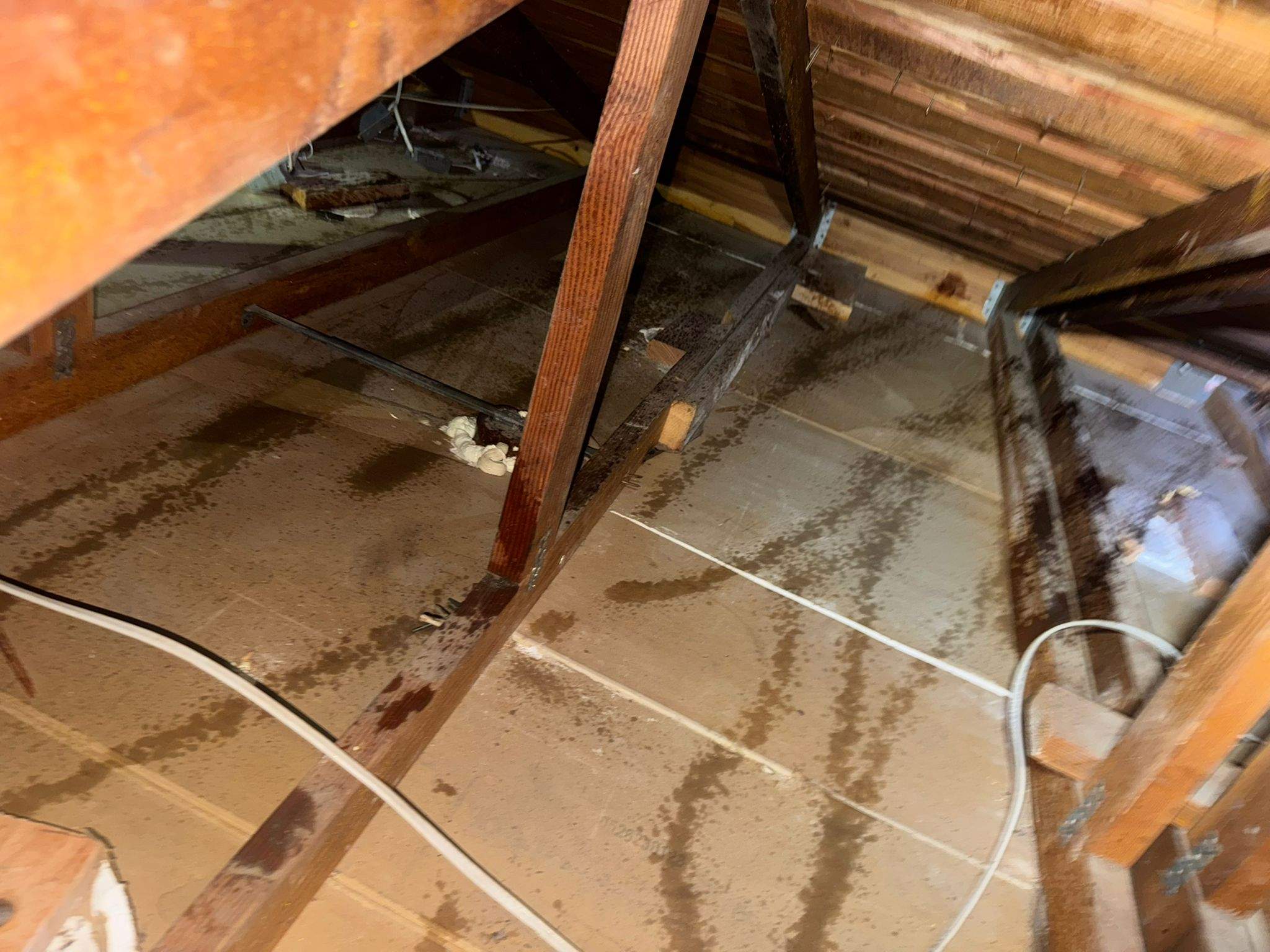 Project by Advanced Attic Solutions by Advanced Attic Solutions