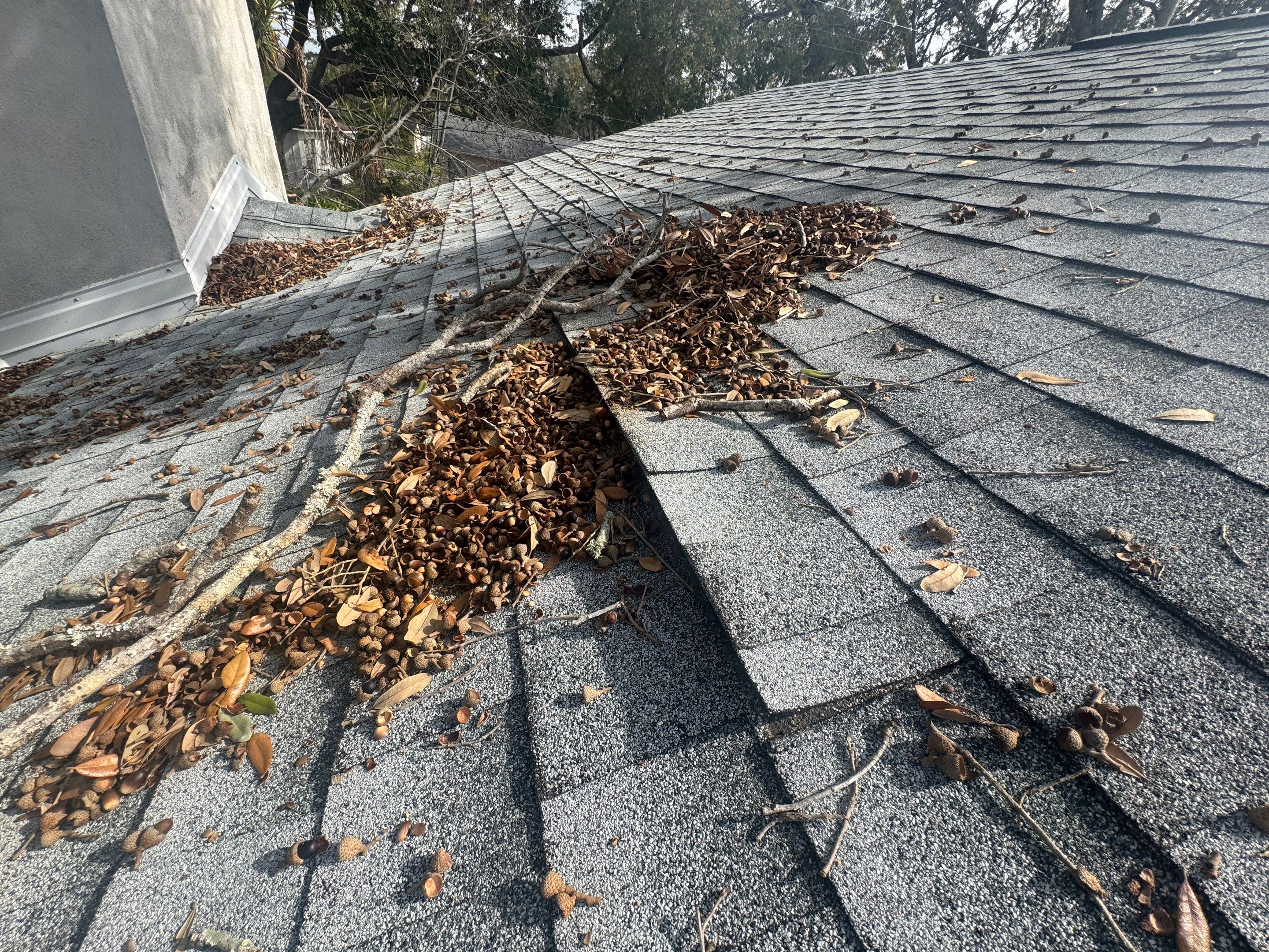 Water Damage Claim in Tampa by FLAPA & KeyStone