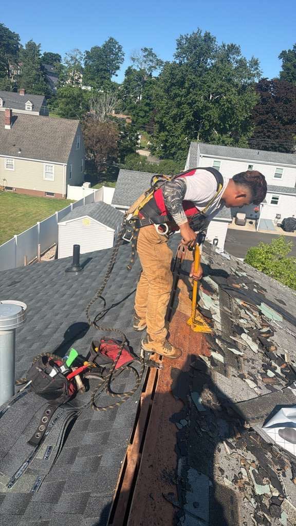 Beautiful new Roof- It's what we do! By DiGiorgi by DiGiorgi Roofing and Siding Inc