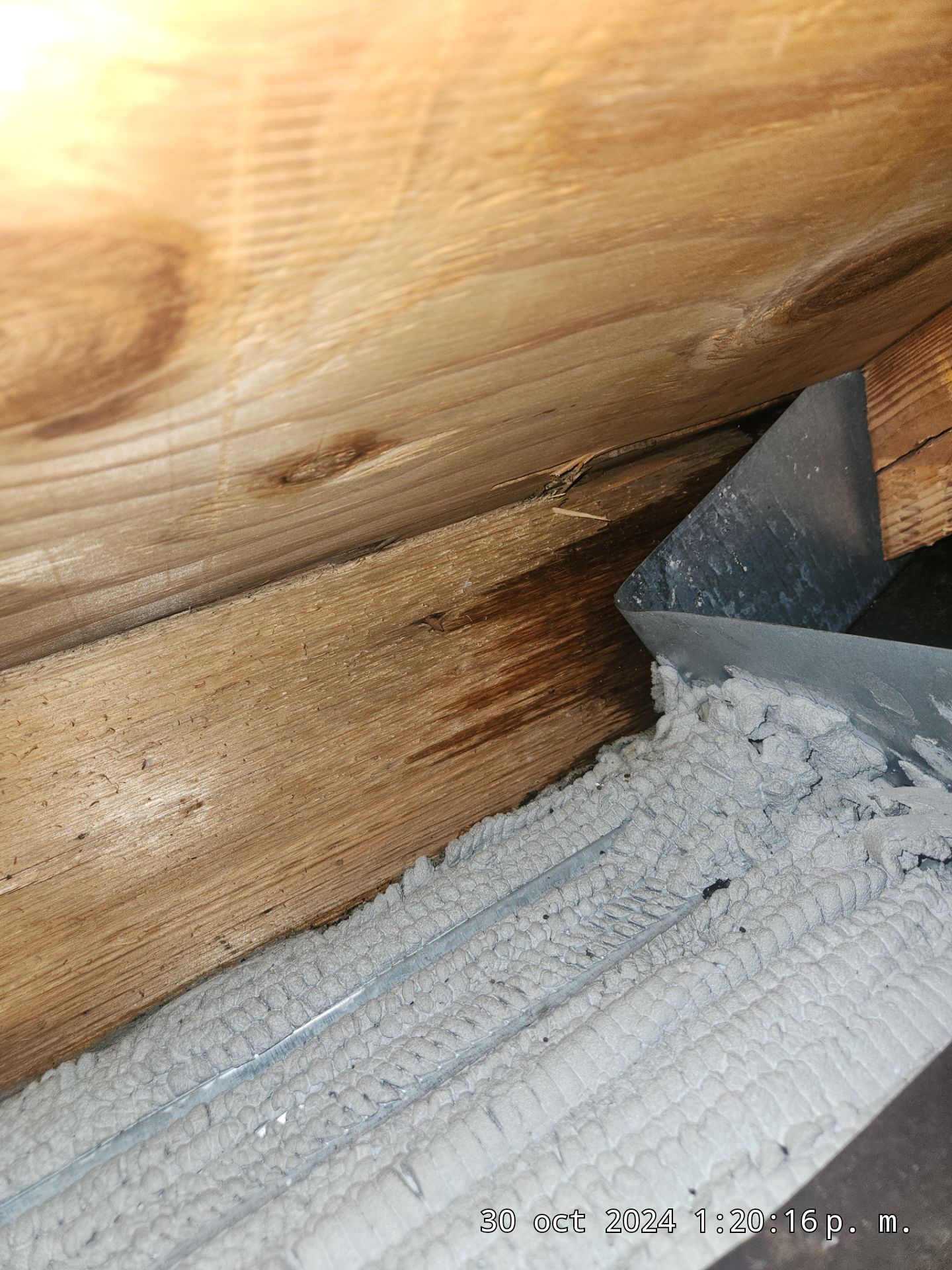 Concrete Tile Roof Repair in Wellington – Expert Restoration & Leak Repair by Aastro Roofing