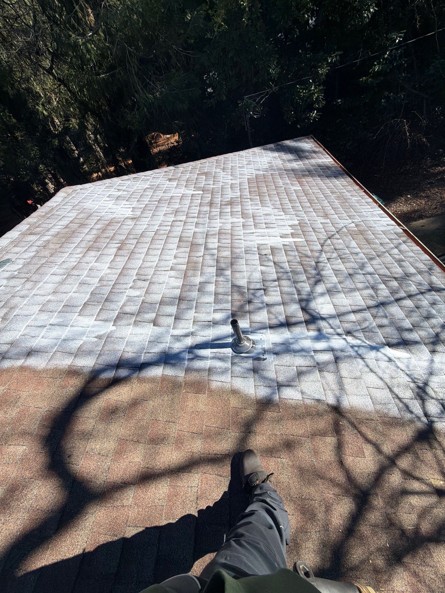 Roof Rejuvenation using Roof Maxx Treatment by Roof Maxx of Folsom