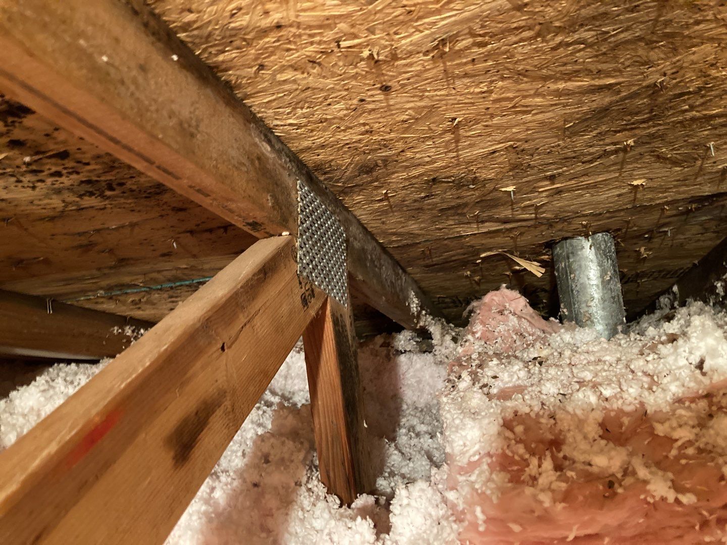Mold Remediation in Attic by Accountable Home Services