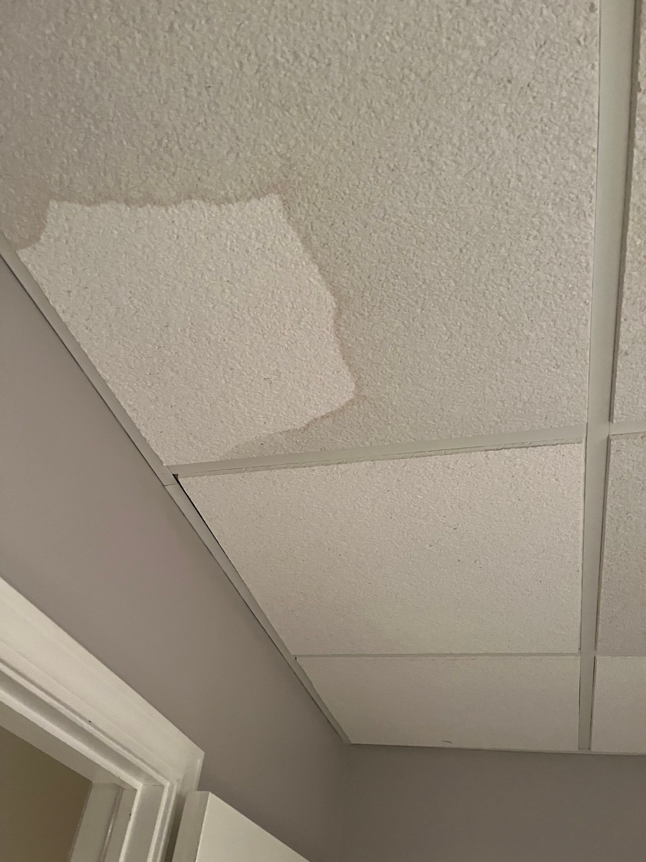 Basement Pipe Burst Emergency Mitigation Demo and Dry Down using Dehumidifiers and Air Movers by Absolute Roofing and Construction
