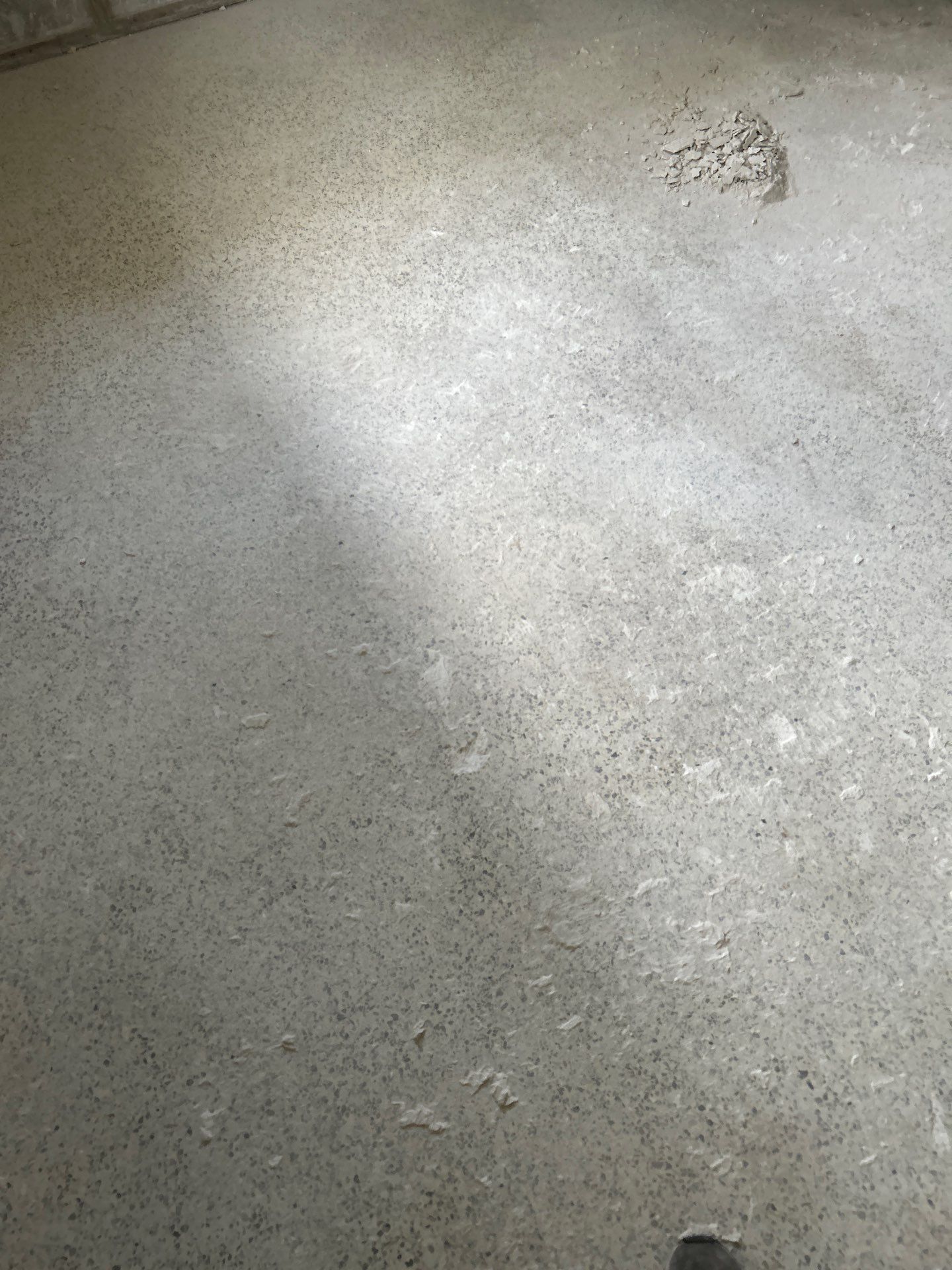 Mold Remediation + Reconstruction Bradenton by Ampm Restoration Services 