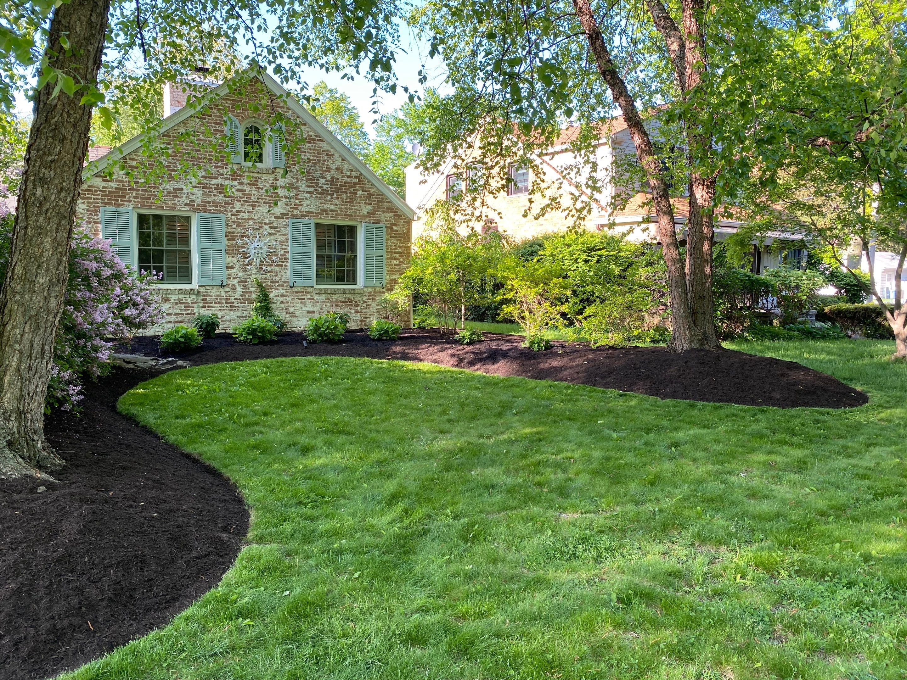 River Birch Maintenance by Elm Rose Gardens