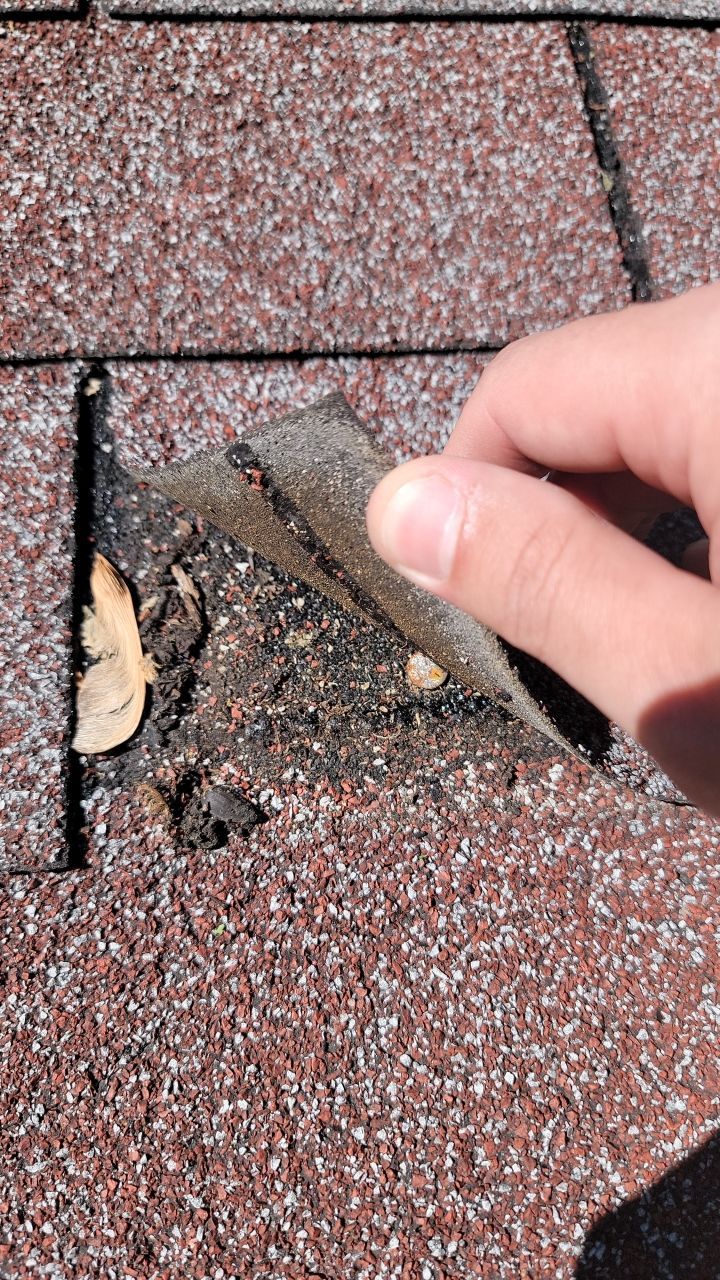 Atlas Pinnacle Pristine Scotchgard: Hearthstone Drip Edge: Black by Eagle Eye Roofing