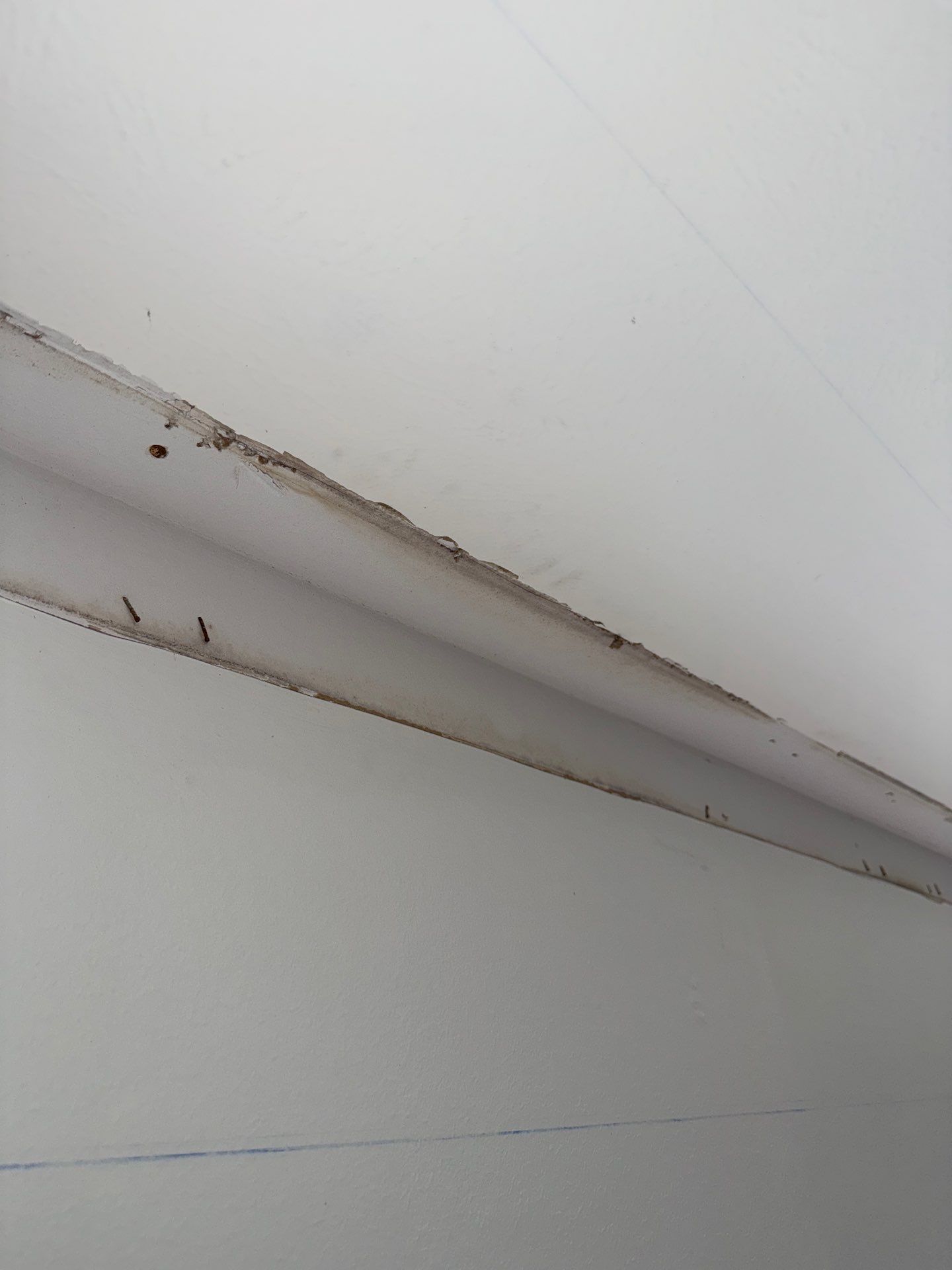 Mold Remediation Job in Richmond by Team Home Solutions