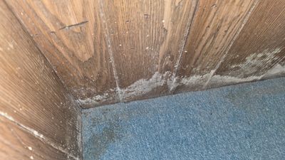 Project by BlueRed Restoration
