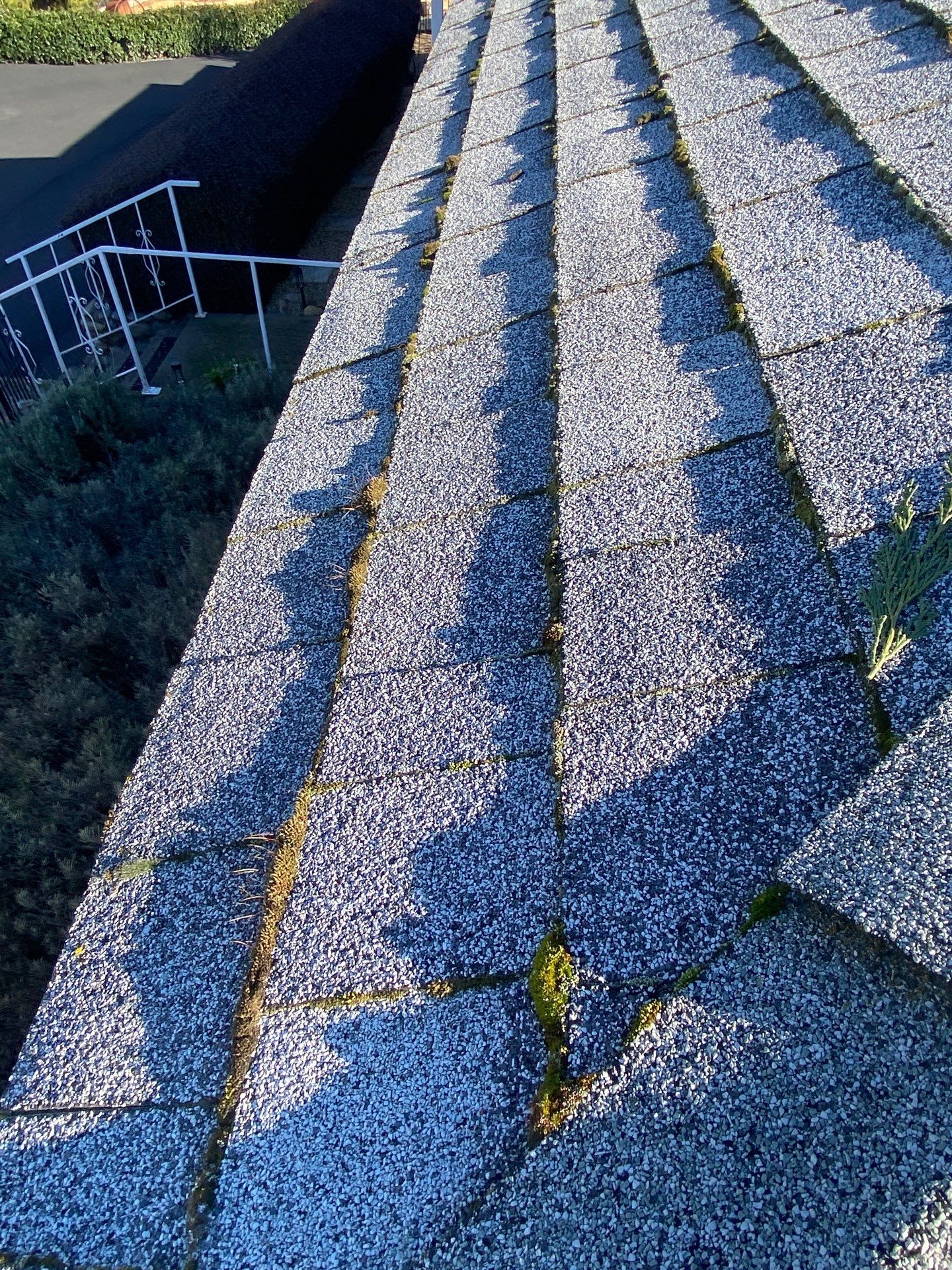 Roof Rejuvenation using Roof Maxx Treatment by Roof Maxx of Folsom