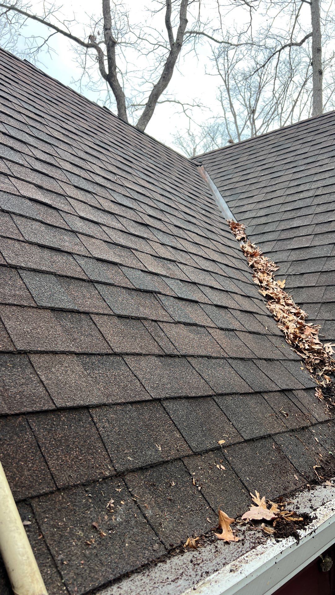 Project in Midlothian by Roof Maxx of Midlothian