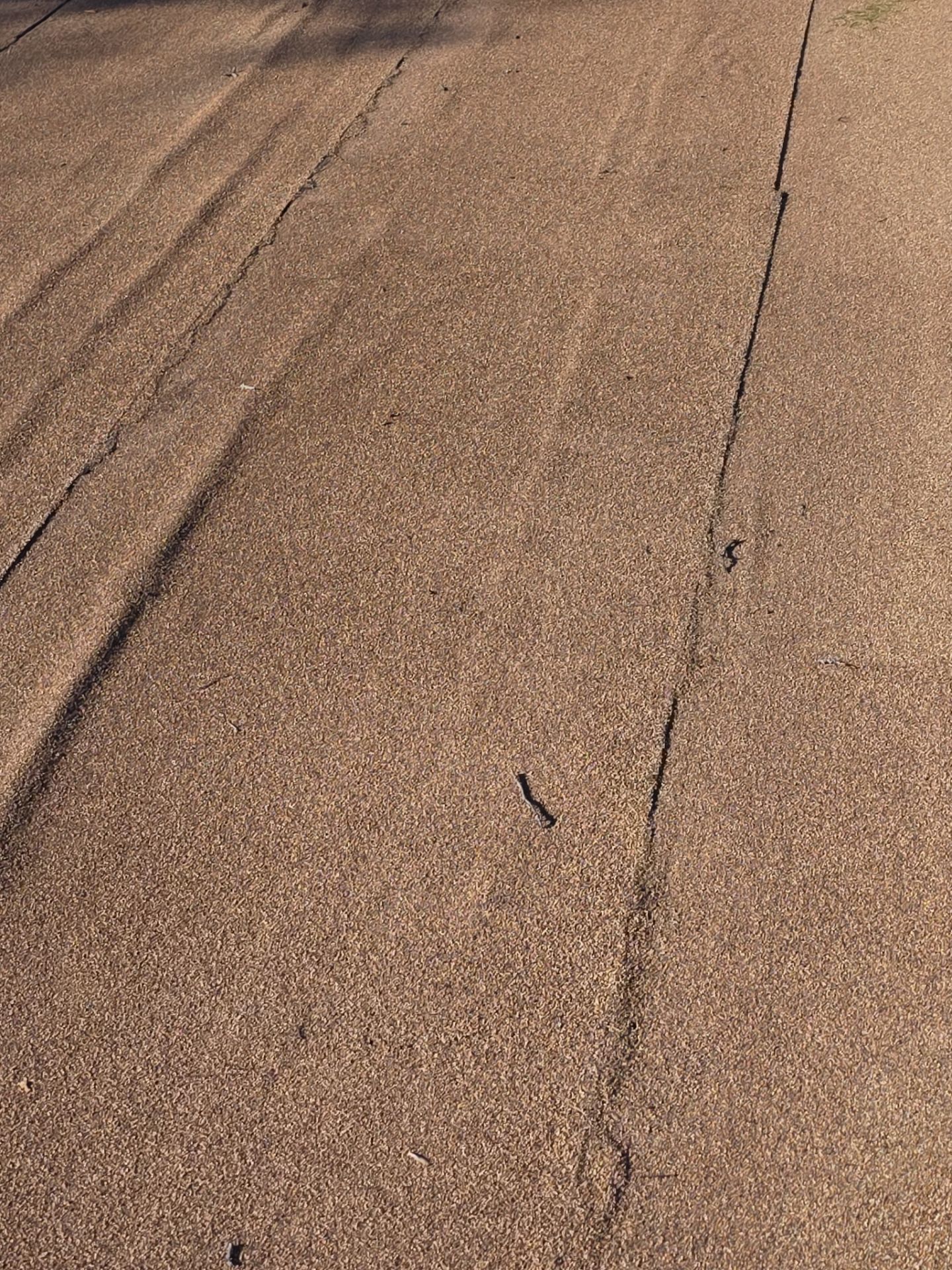 Roof Rejuvenation using Roof Maxx Treatment by Roof Maxx of Folsom