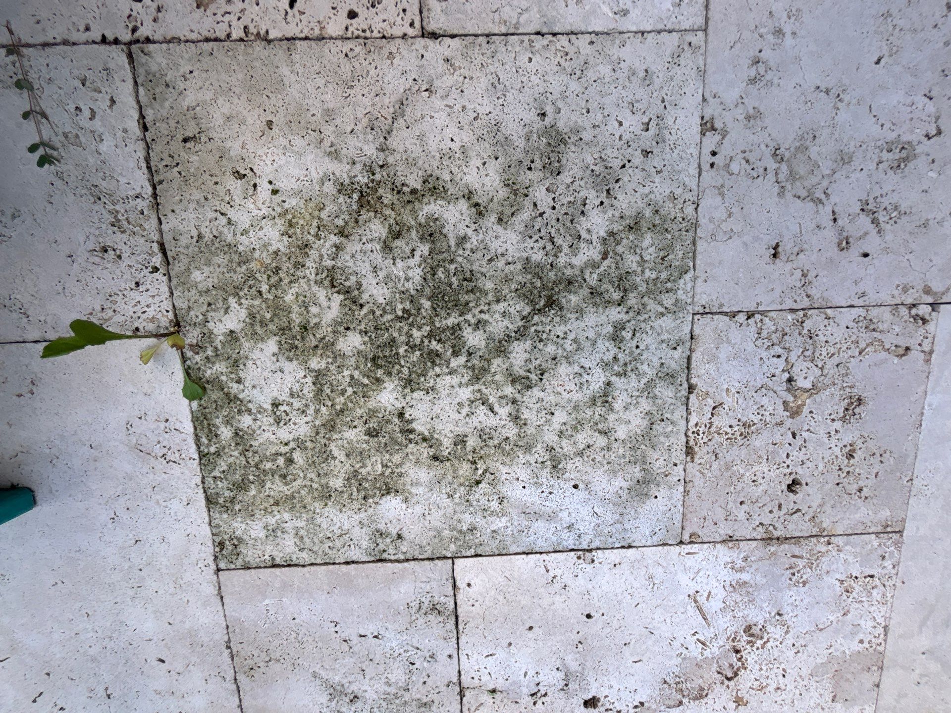 Pool Deck using Concrete Sealant by DuraSeal