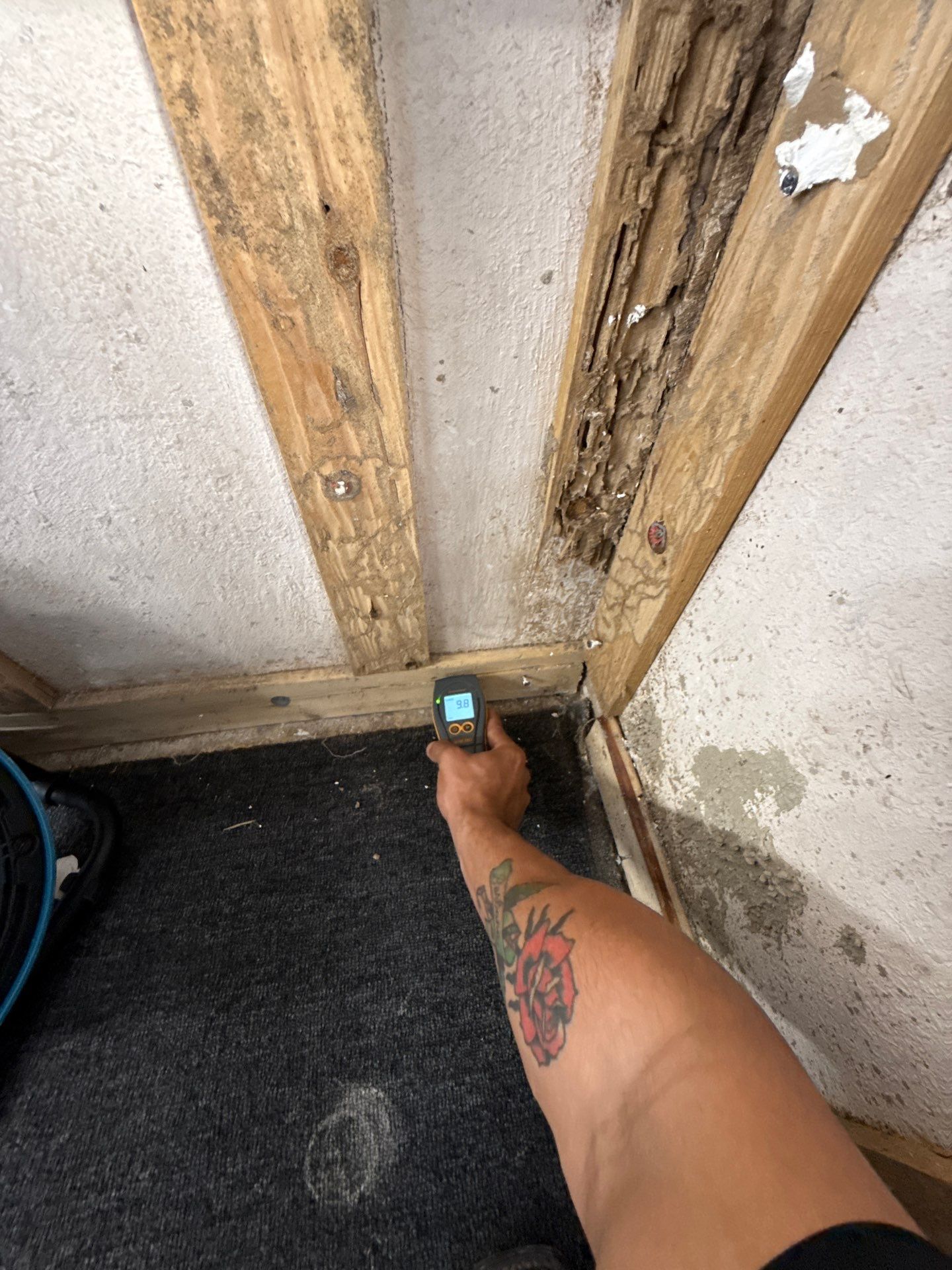 Project in Harlingen by First Response Restoration LLC