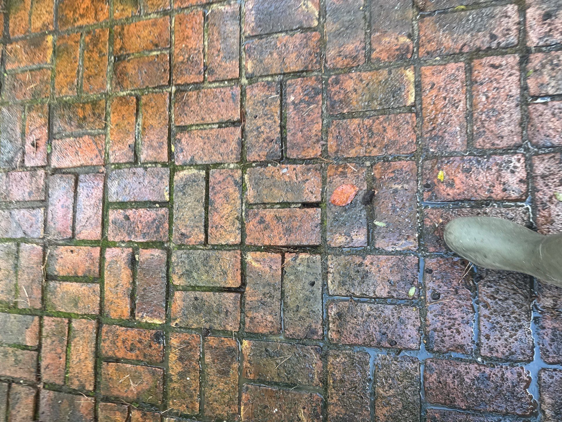Roof - Driveway - Patio Clean using 18inch Whirlaway FSC by Ges Exterior Cleaning ltd