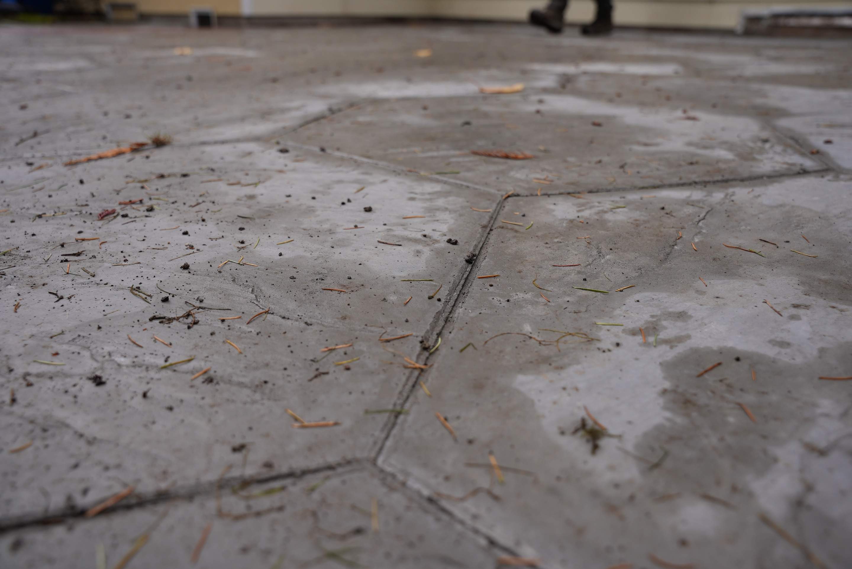 Piotr | Concrete Driveway Repair  by Jireh Asphalt & Concrete Inc 