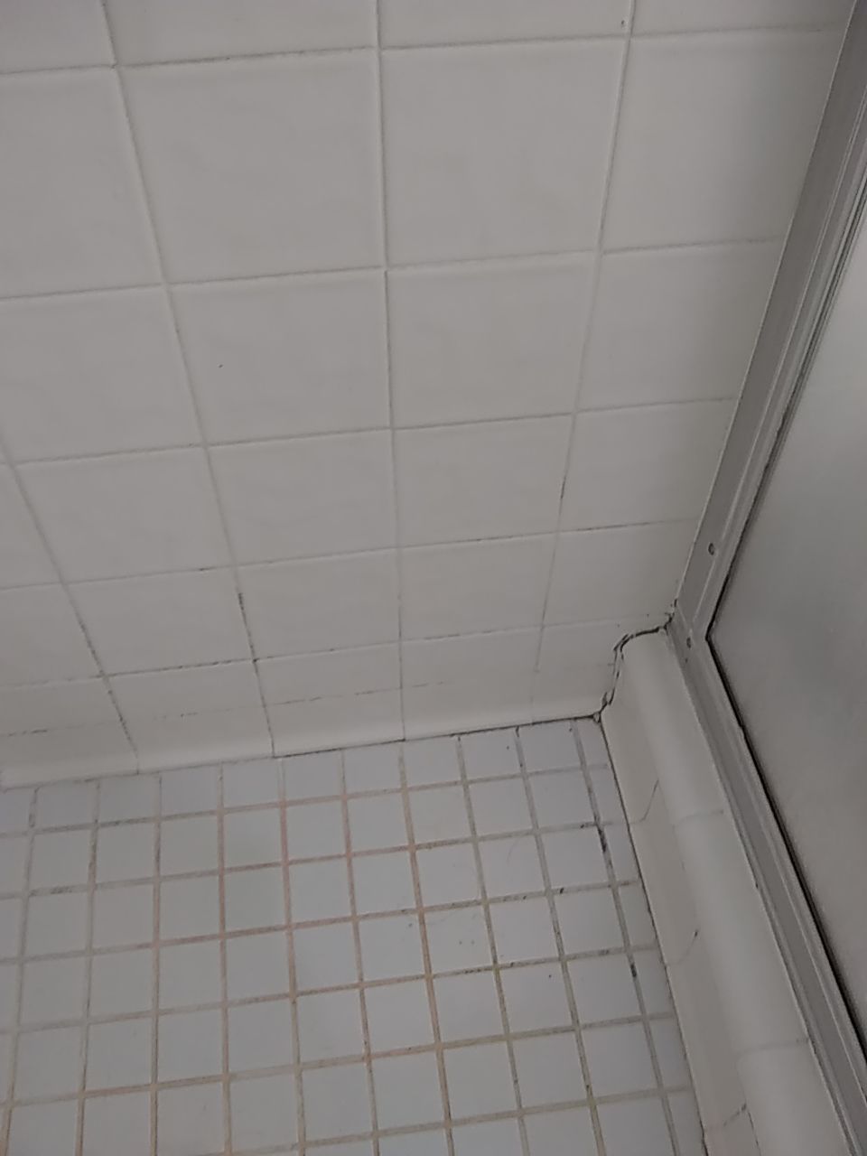 Neo-angle shower by The Shower Company