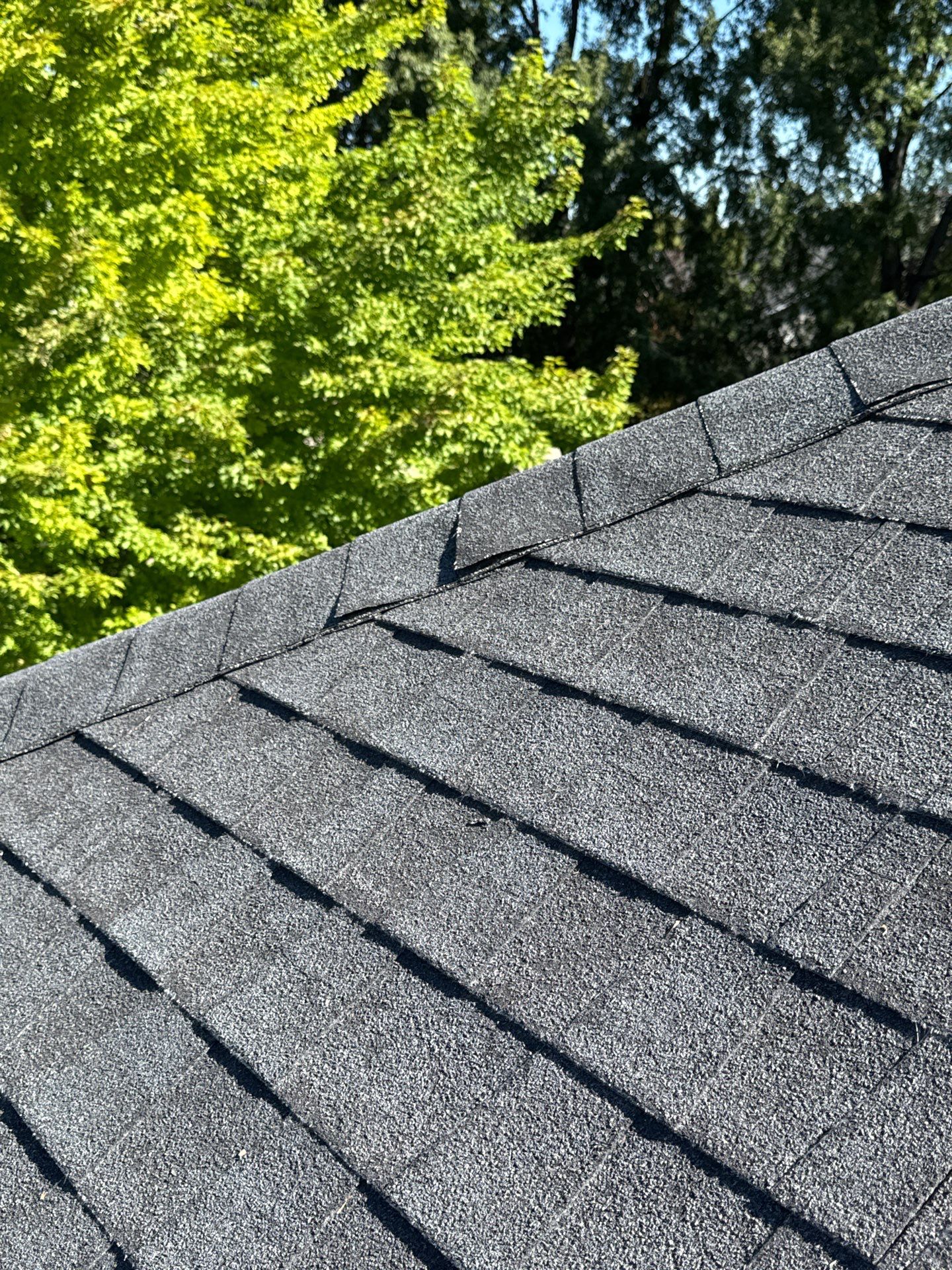 Complete Residential Roof Replacement Featuring Gray Architectural Shingles in Meridian by Olive Roofing