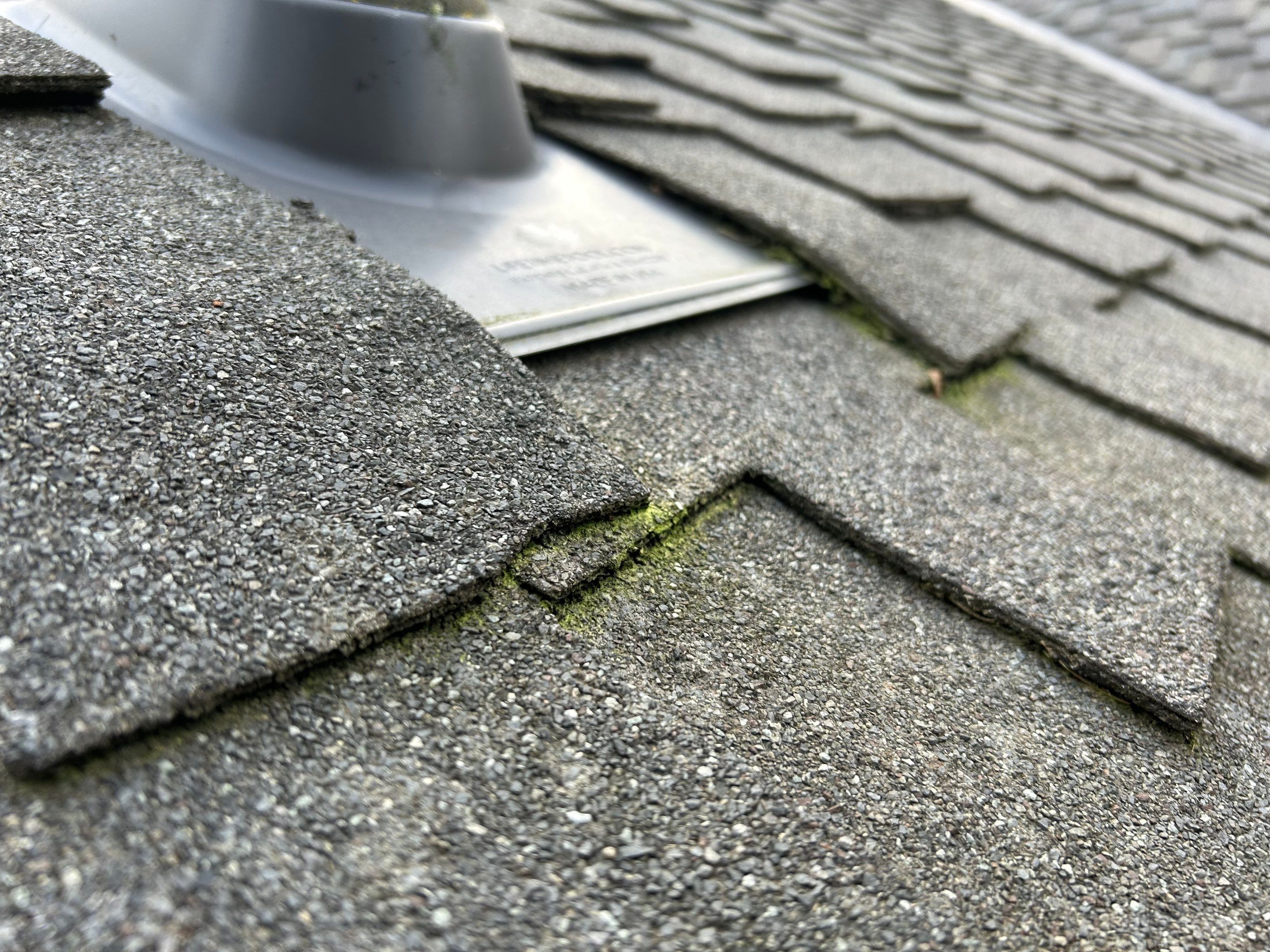 Roof Maintenance in Beaverton by Prodigy Roof Solutions