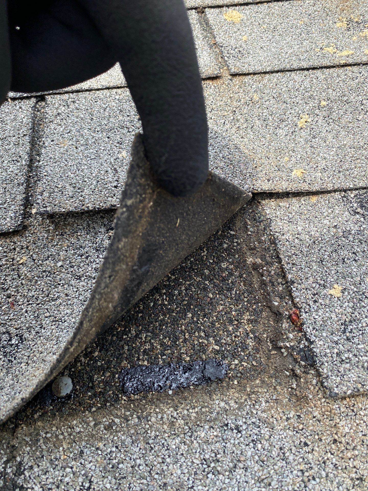 Roofing | Maynard by Mighty Dog Roofing of Greater Middlesex County