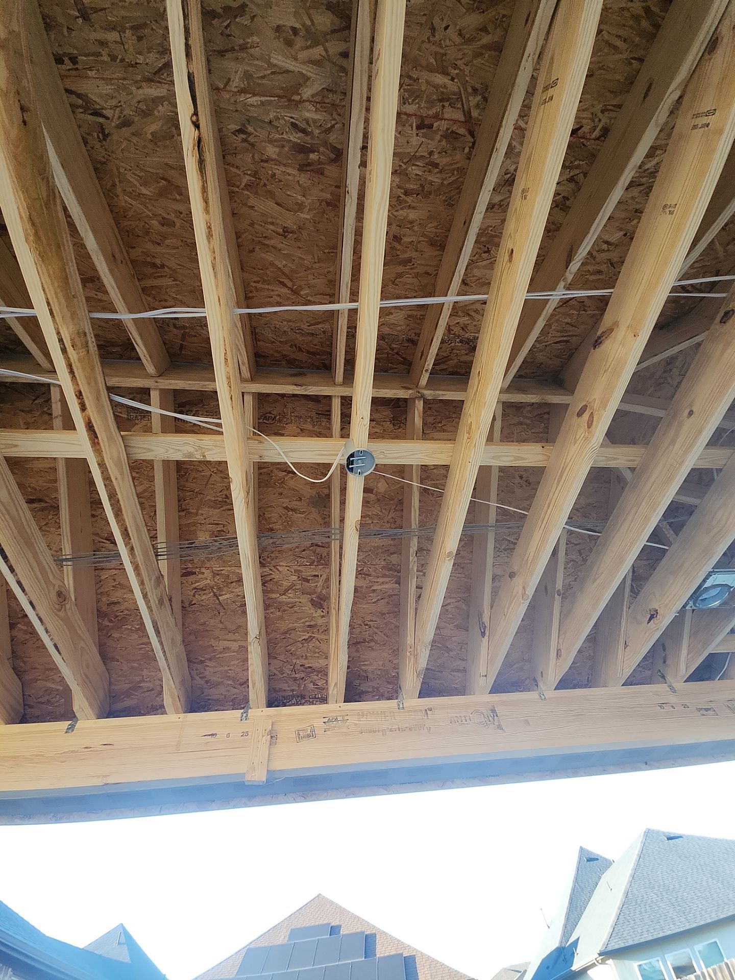 The Tatarin Family by SophAlx LLC