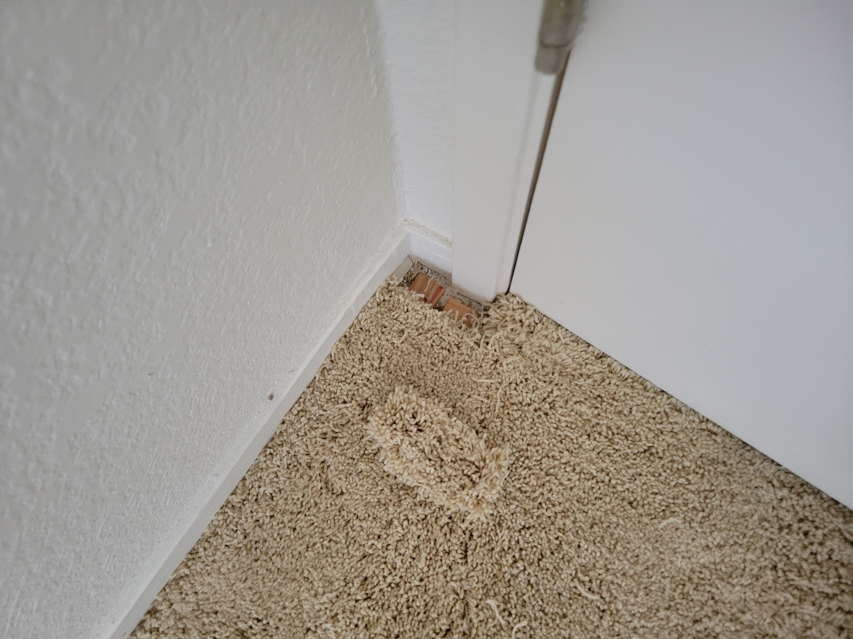 Carpet Re-stretching and Cleaning by Ardent Carpet Restore LLC
