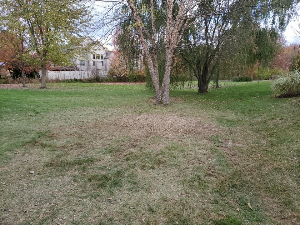 Tree Removal using Tree Removal by Mike Jones & Sons Tree Service LLC 