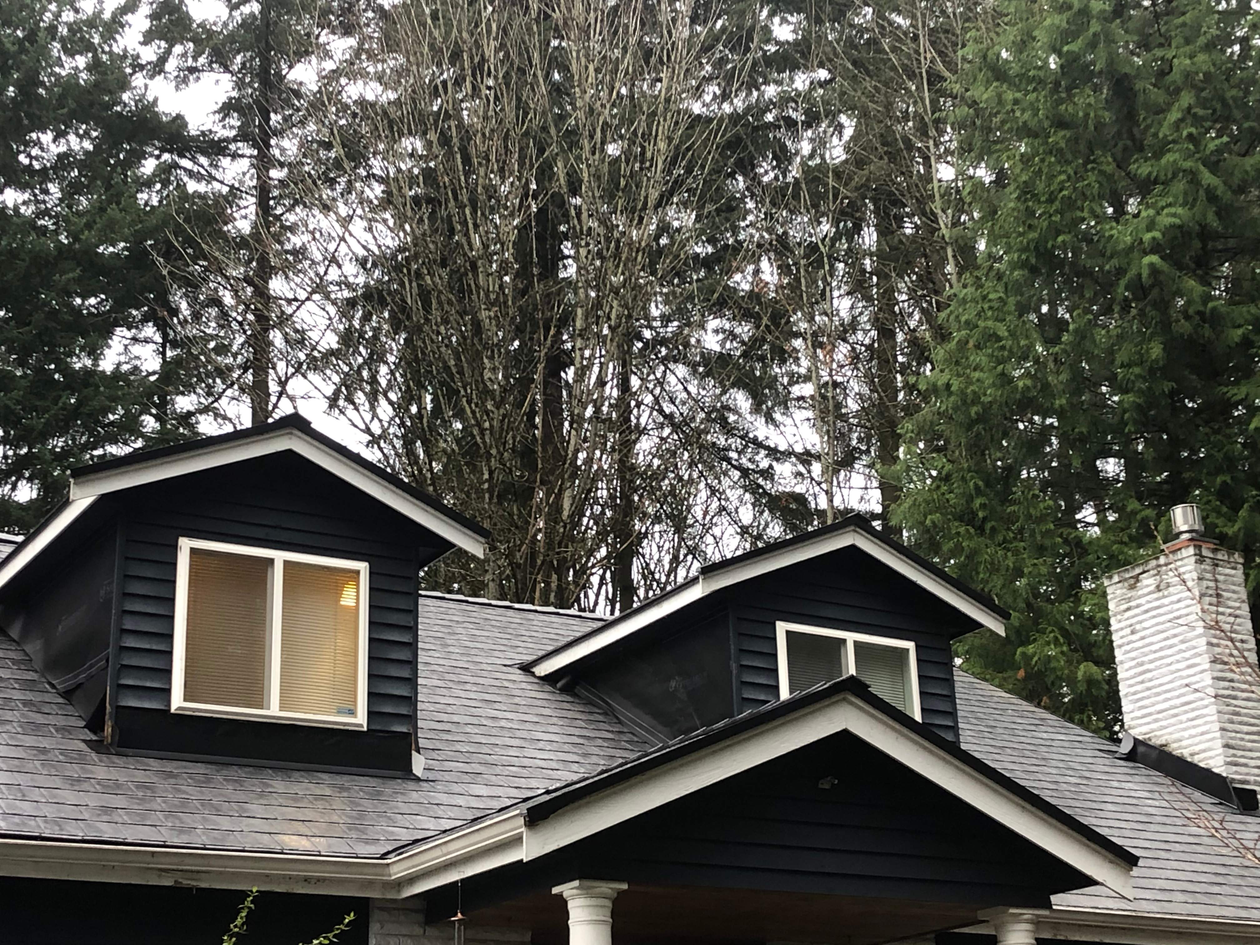 Ari in Bothell by RoofWorks Northwest