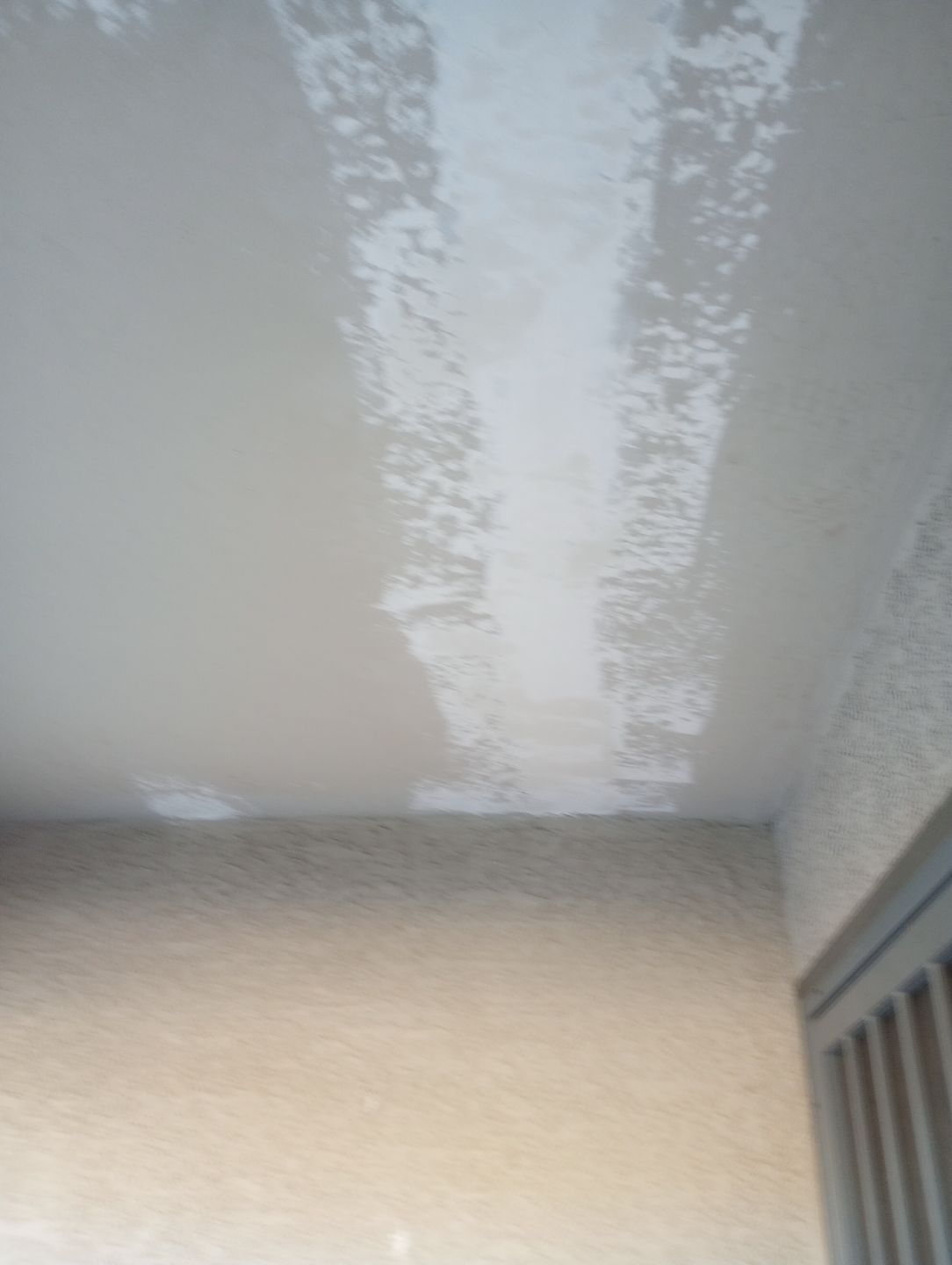 Exterior Painting - Phoenix by Crash of Rhinos Painting & Garage Floors