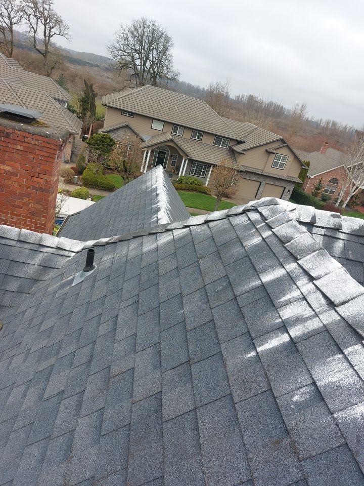 Roof Cleaning  using Moss Treatment  by BEST Roofing & Waterproofing