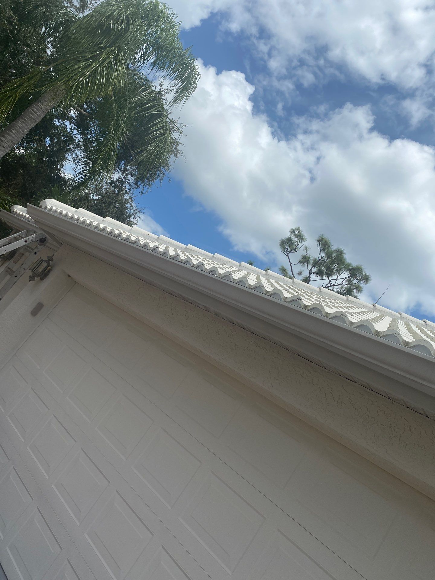 Leaf Guard using Gutter Guards for Florida Home by Gutter Professors