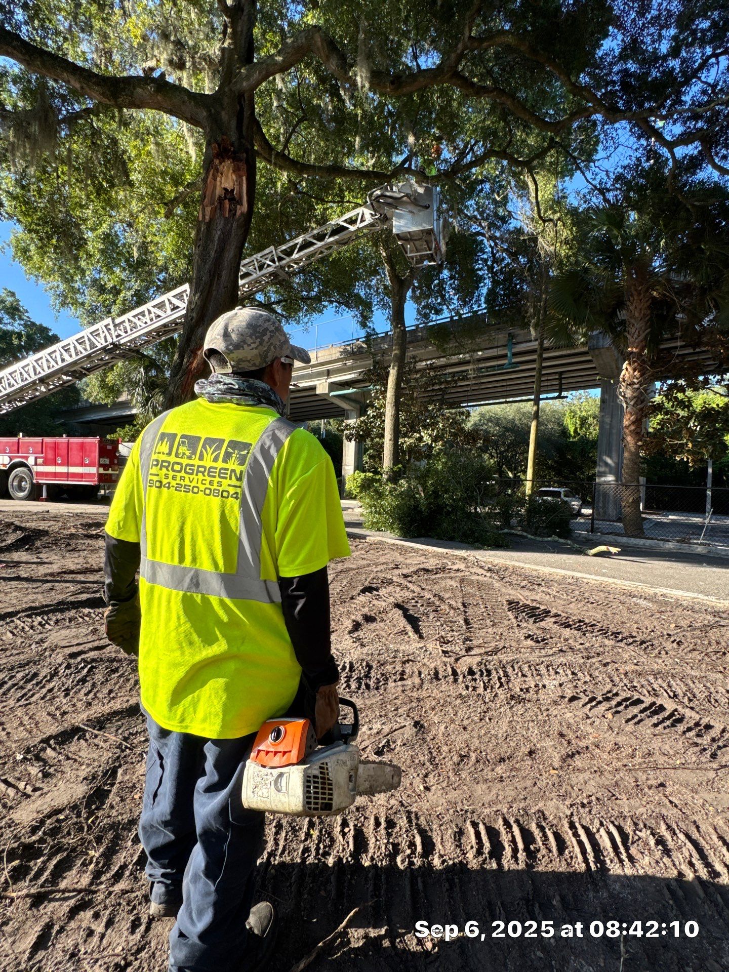 Welcome Center Tree Removal | Episcopal School of Jacksonville by ProGreen Services