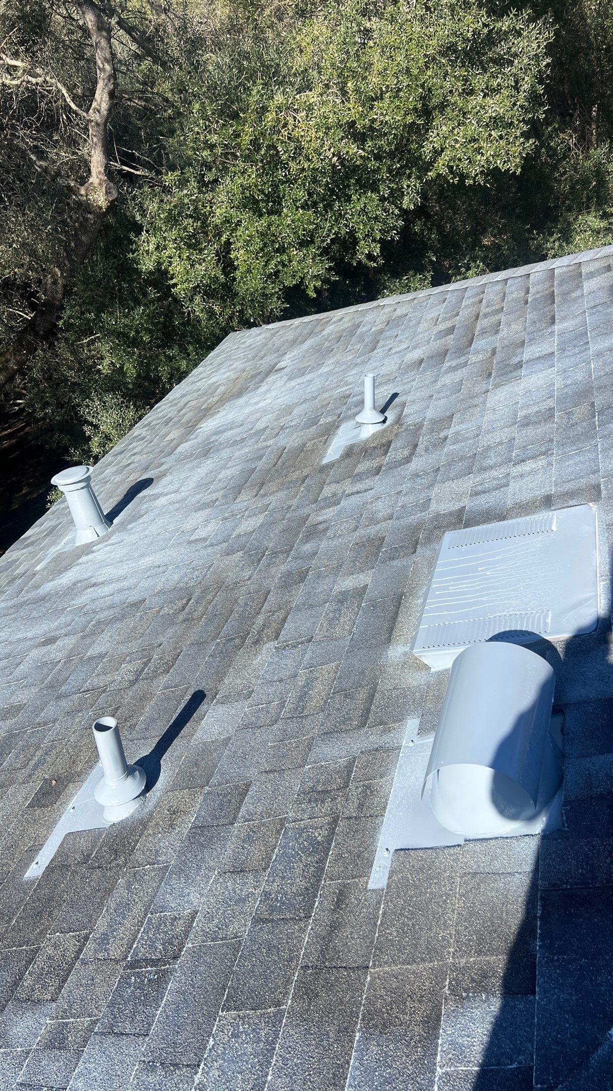 Roof Rejuvenation using Roof Maxx Treatment by Roof Maxx of Folsom