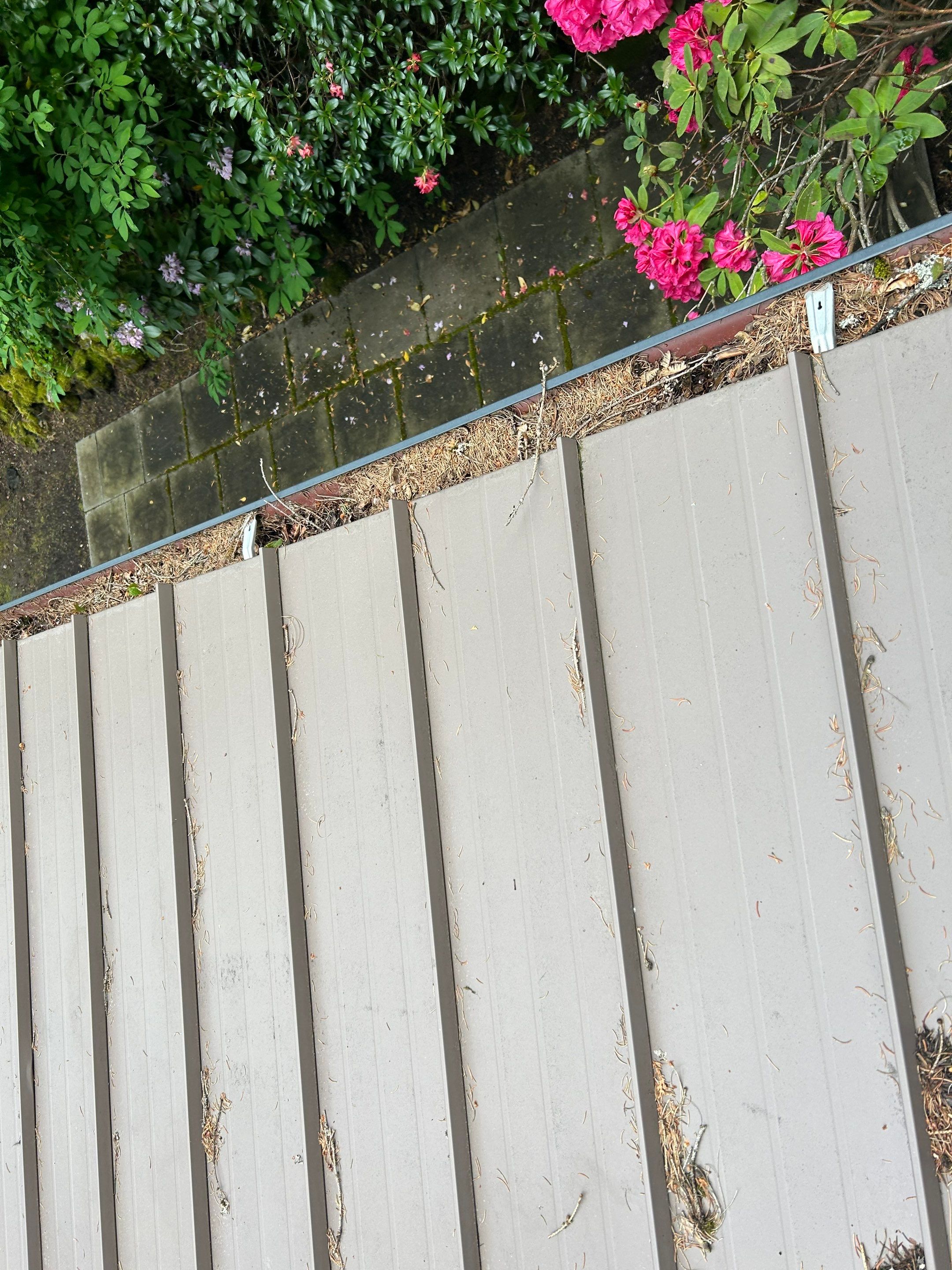 Roof Cleaning in Portland by Prodigy Roof Solutions