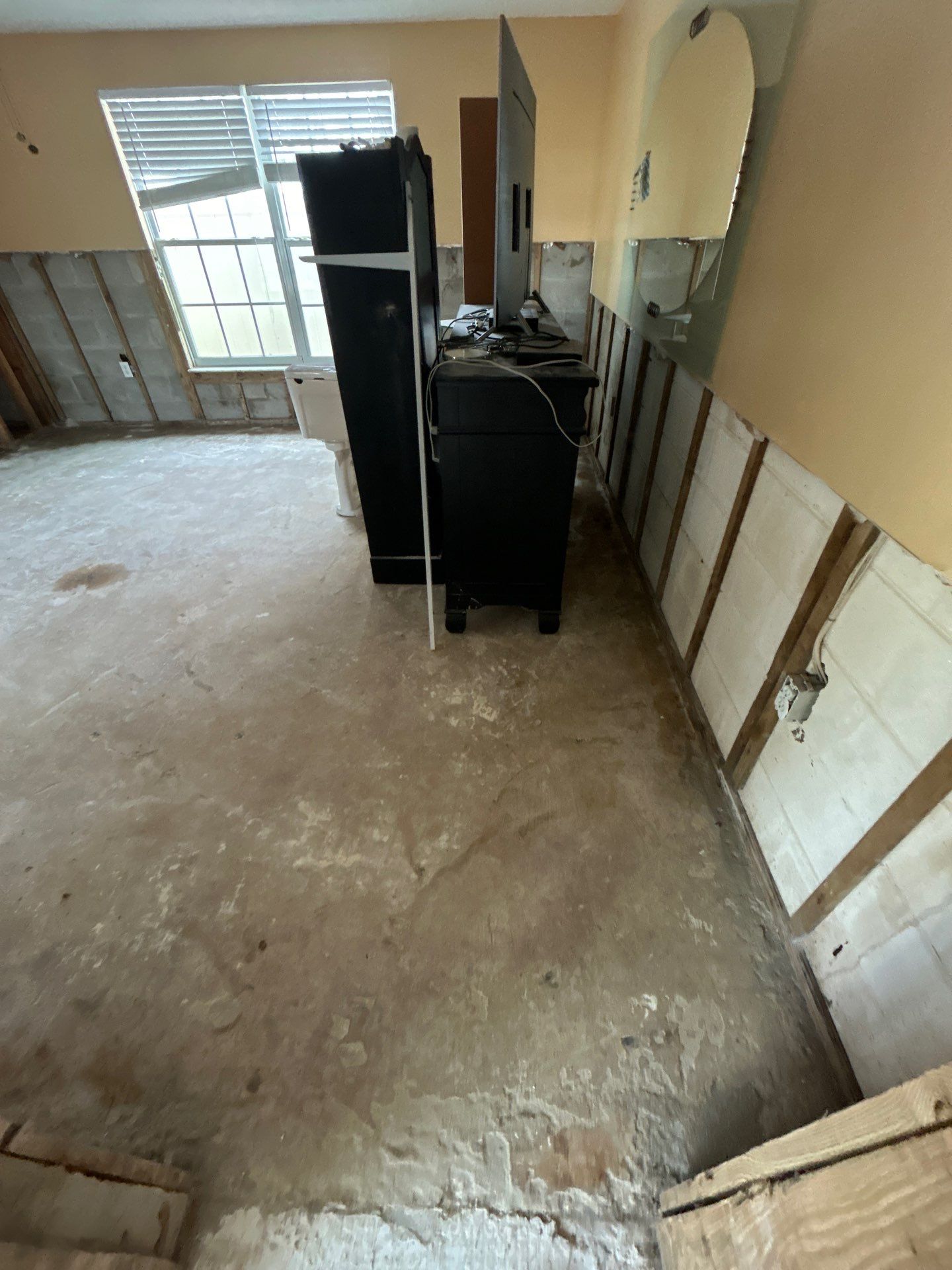 Mold Remediation + Reconstruction Bradenton by Ampm Restoration Services