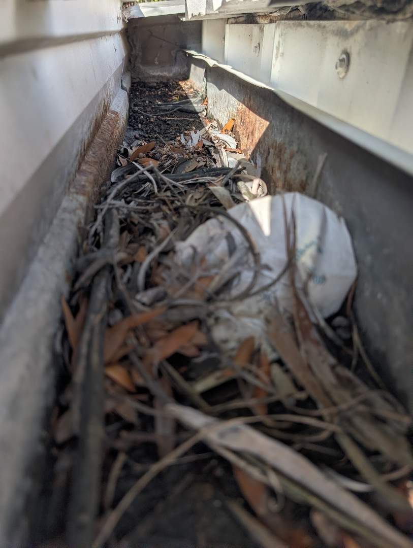 Retail roof & gutter cleaning before cleaning photo.