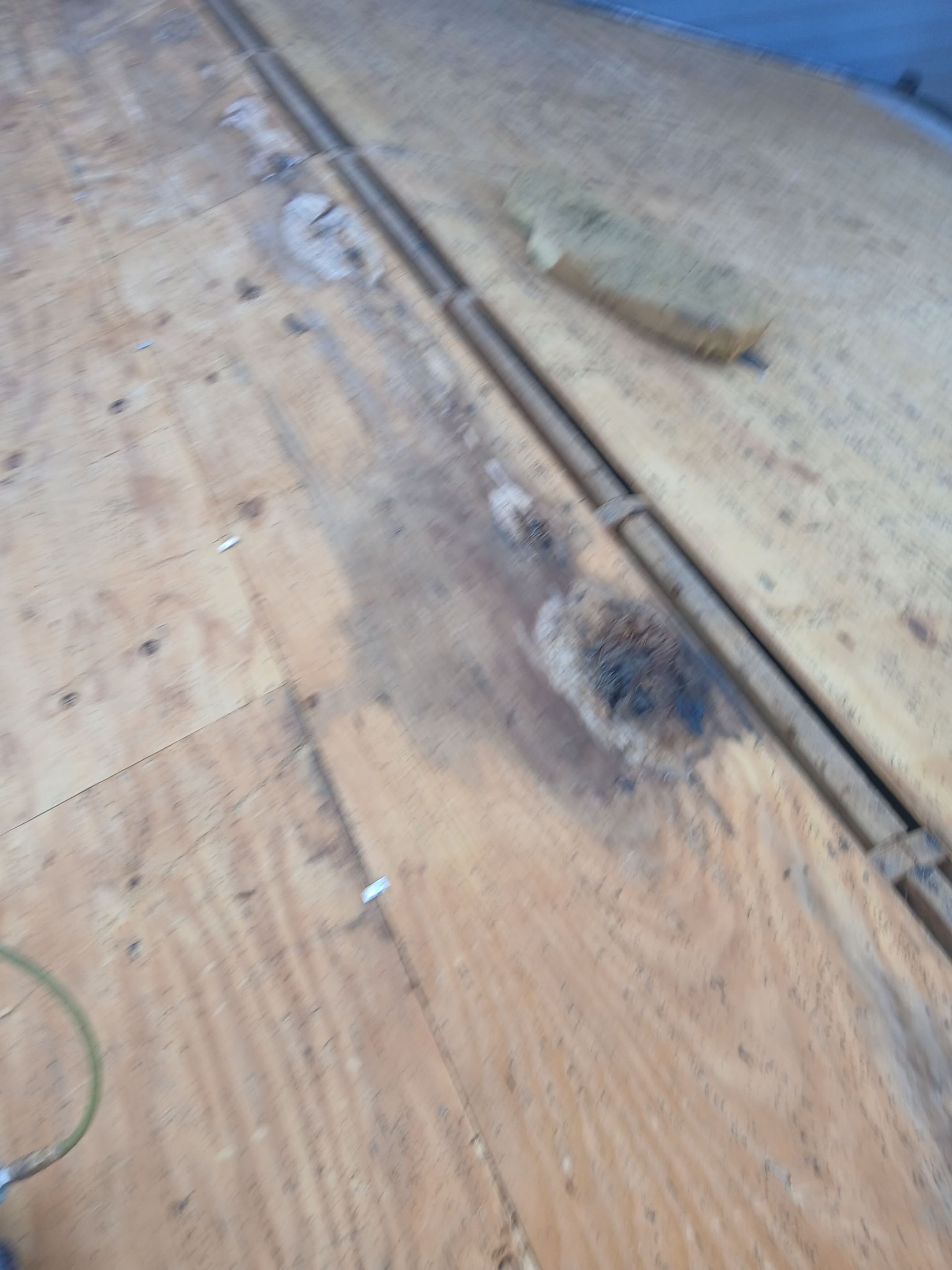 Custom skylights and all by REPS OF TEXAS