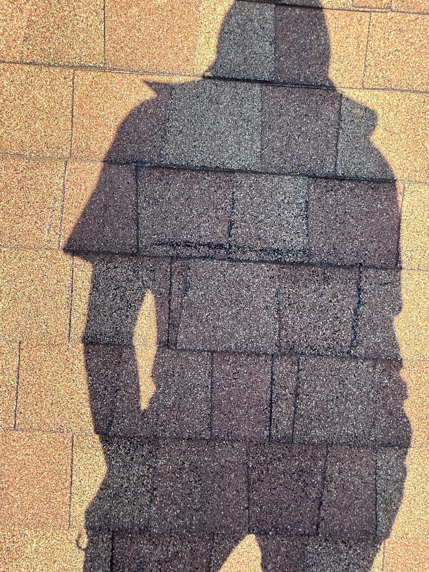 Sterling: Residential Roof Replacement with CertainTeed Landmark Pro Designer Shingles in Max Def Mojave Tan by RM Banning, Inc.