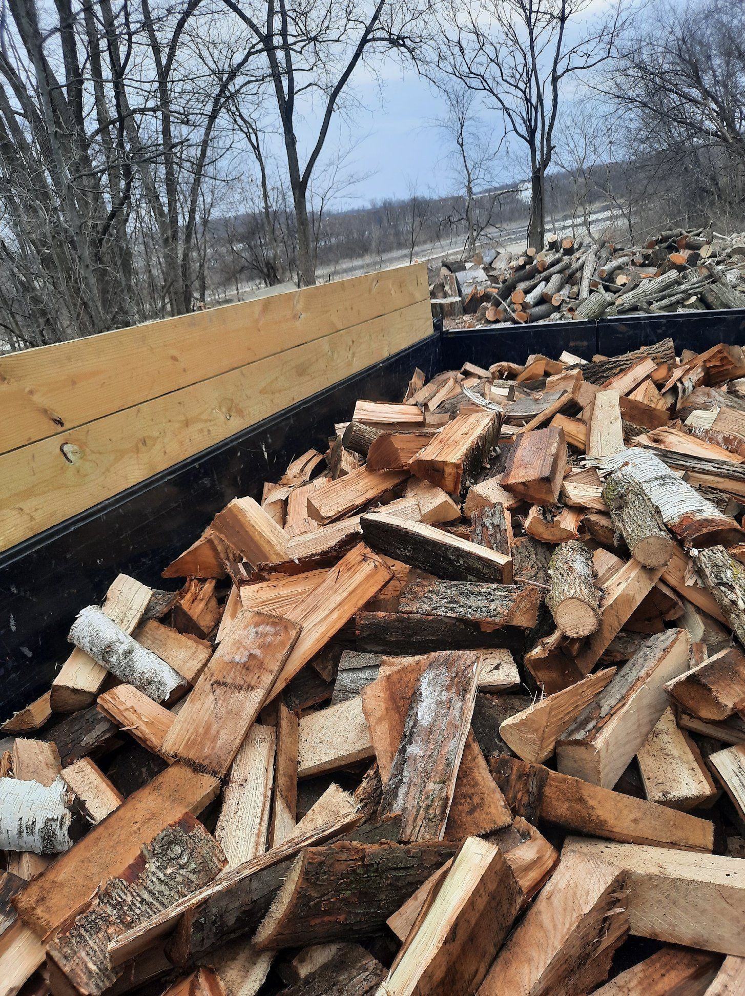 Tree Removal using Tree Removal by Mike Jones & Sons Tree Service LLC 