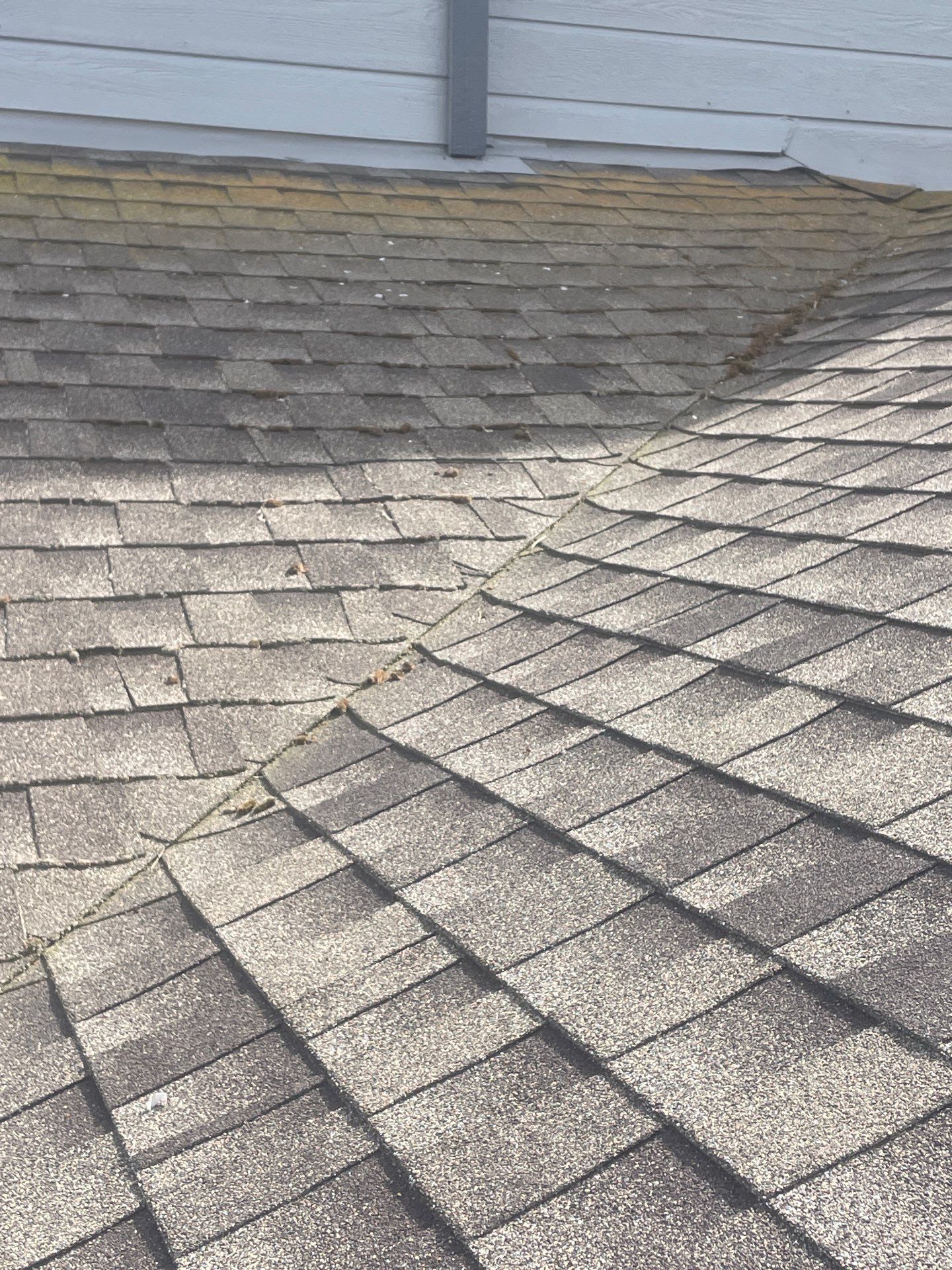 Roof Rejuvenation using Roof Maxx Treatment by Roof Maxx of Folsom