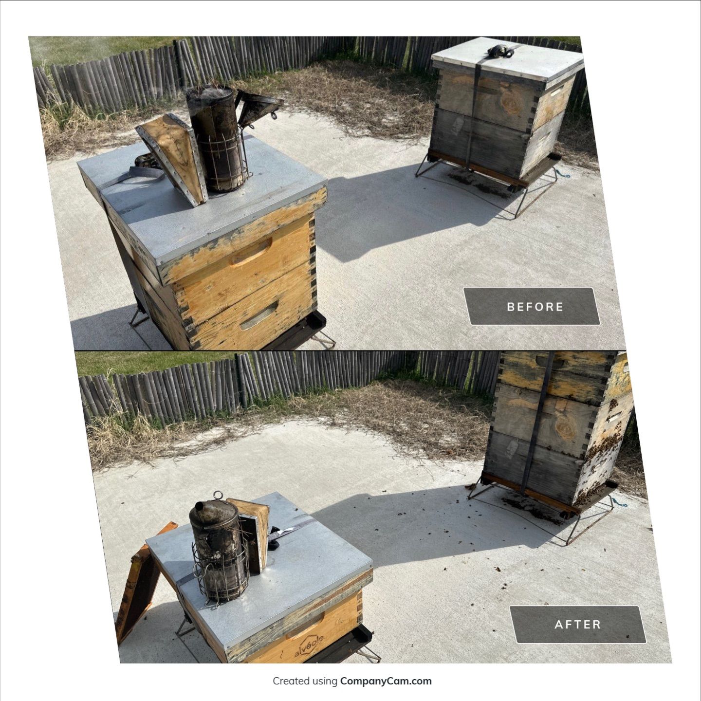 Bees at the Bank! by Rockwall Honey Bee Company
