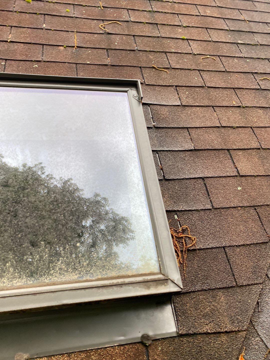 Arlington: CertainTeed Landmark Pro Designer Shingles in Max Def Shenandoah by RM Banning, Inc.