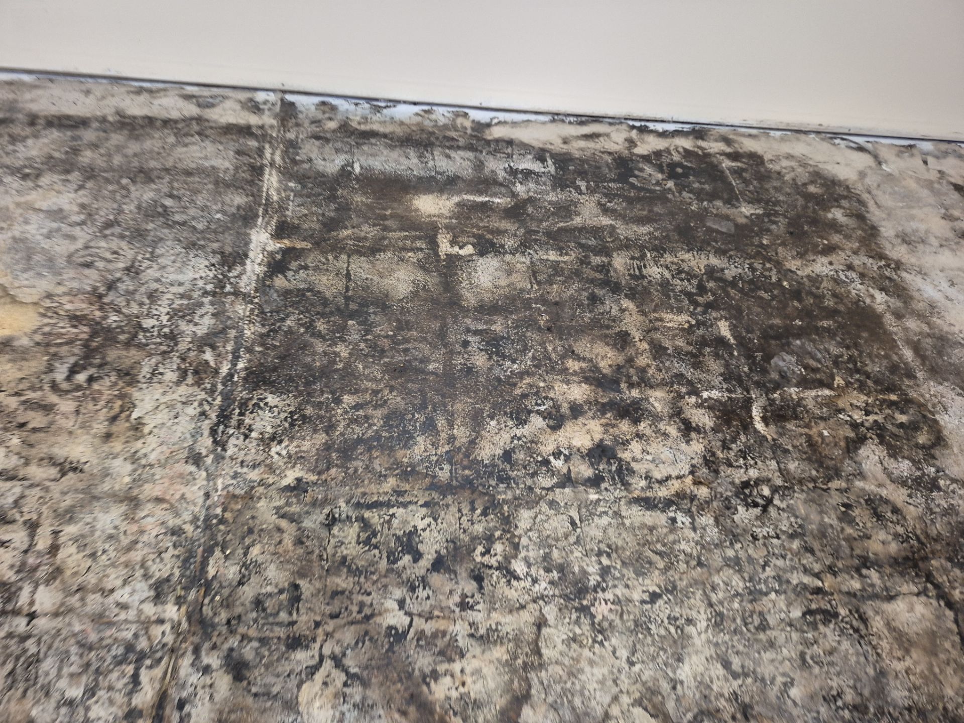 Project in Maple Rapids by Wise Coatings of Central Michigan