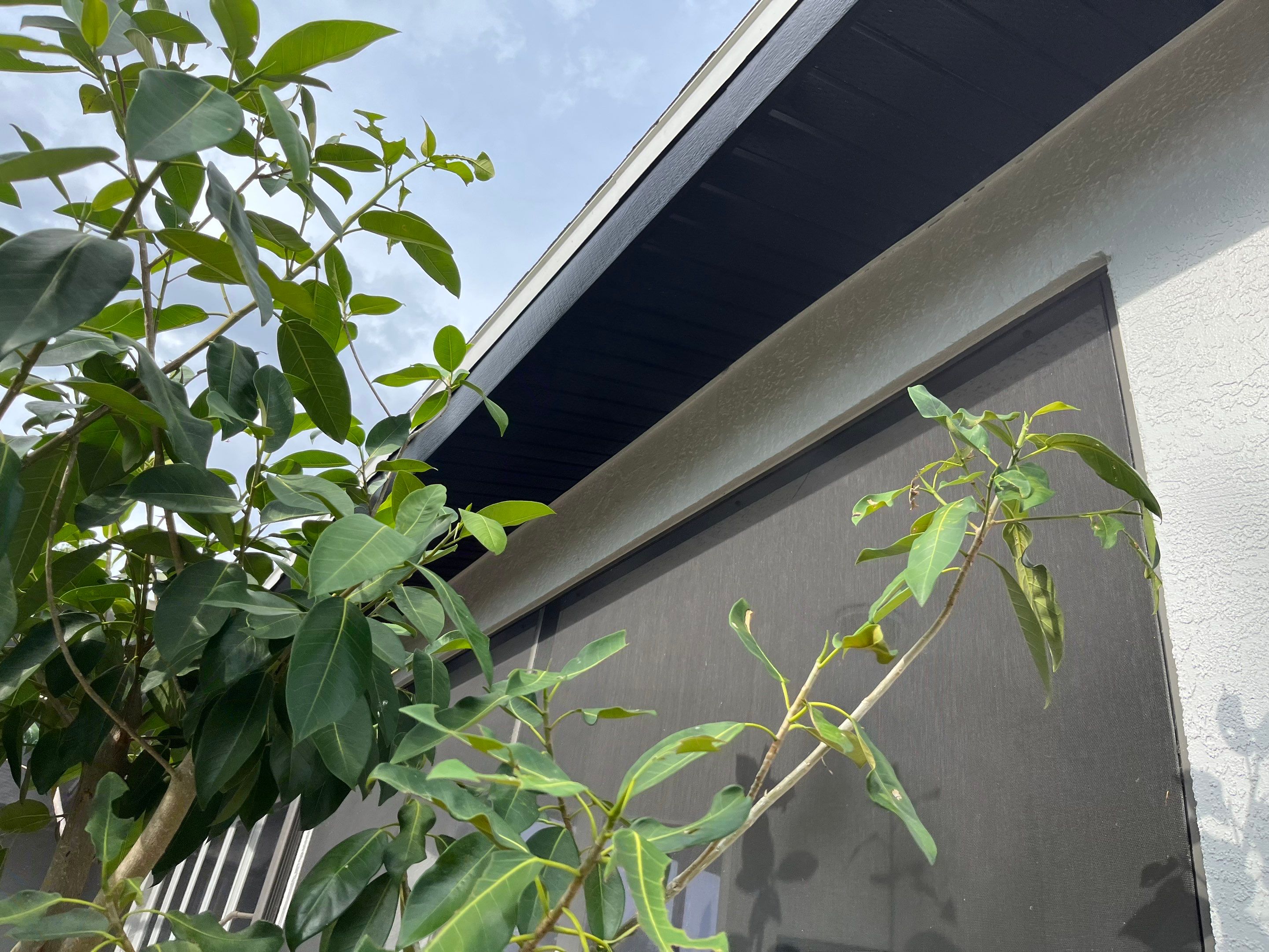 New Soffit and Fascia and Gutters in North Fort Myers FL by Gutter Professors