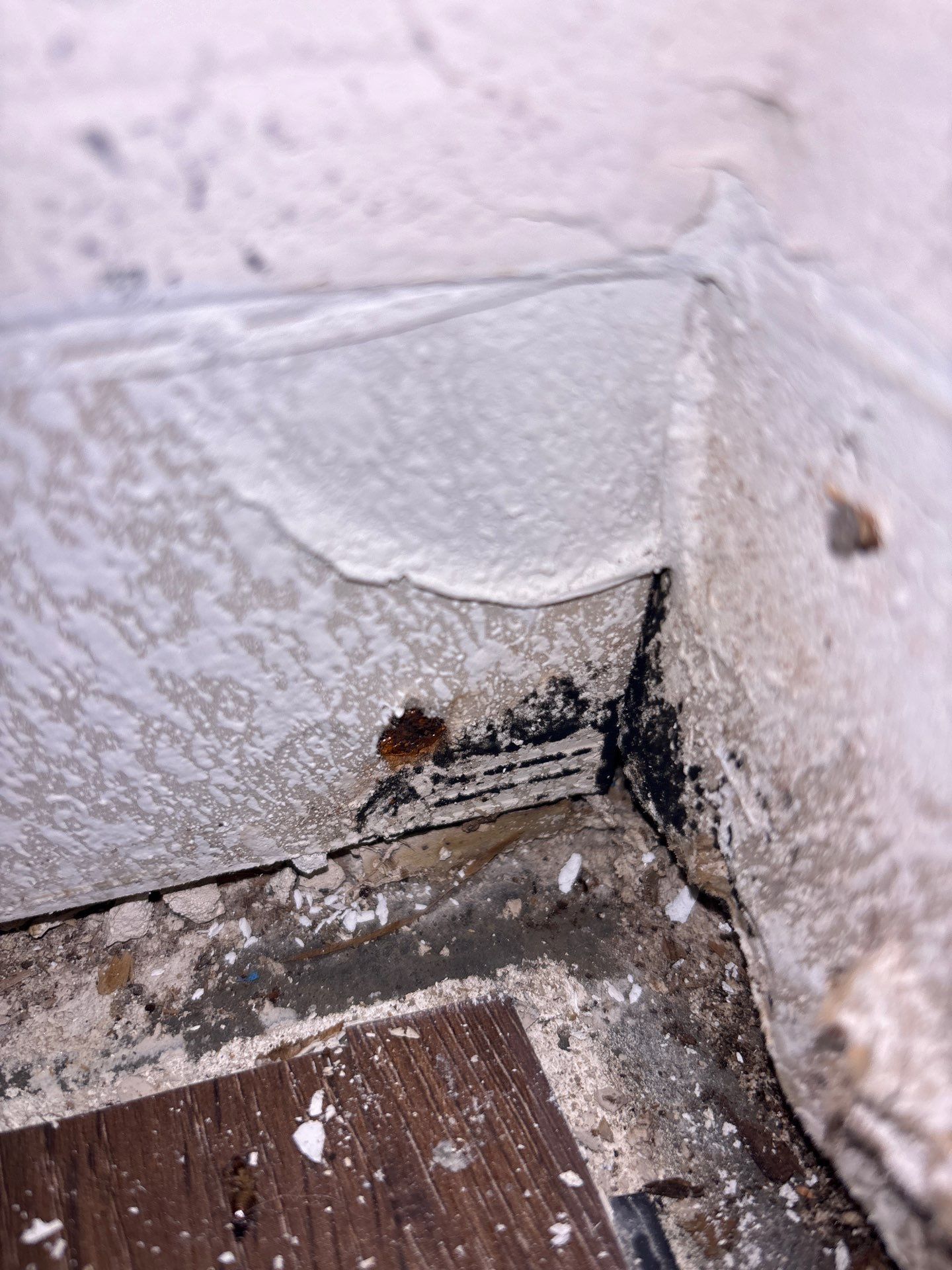 Water Damage Restoration In Sarasota by Ampm Restoration Services