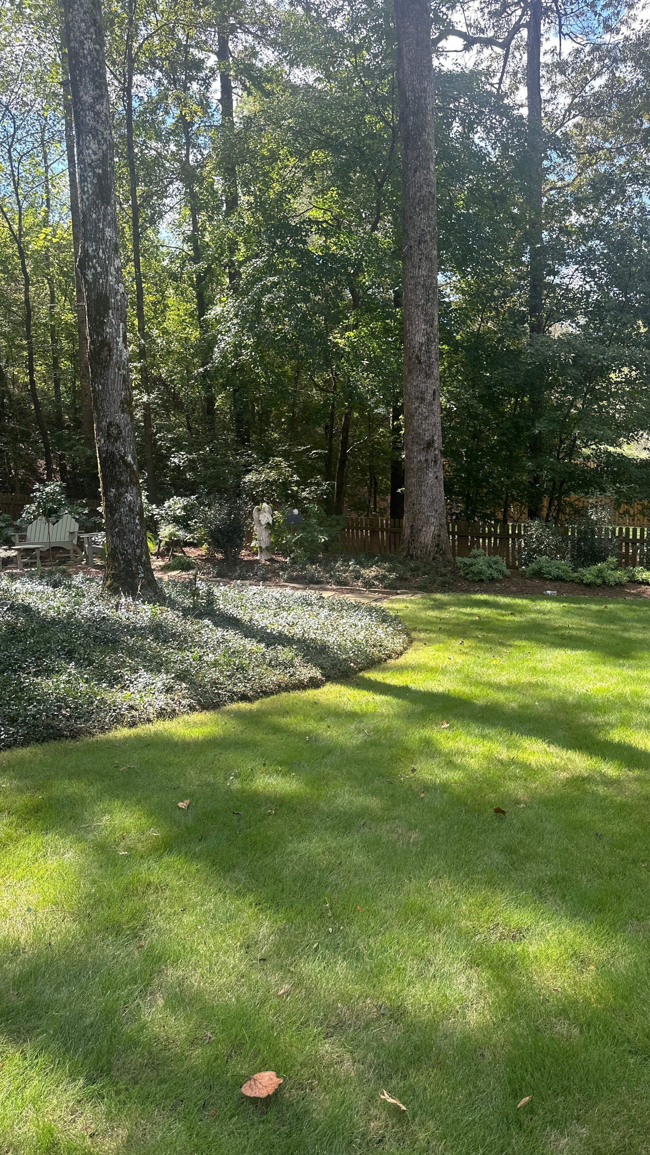 Custom Landscape Transformation and Hardscape Installation in Birmingham by NATURE ONE - LANDSCAPE DESIGN